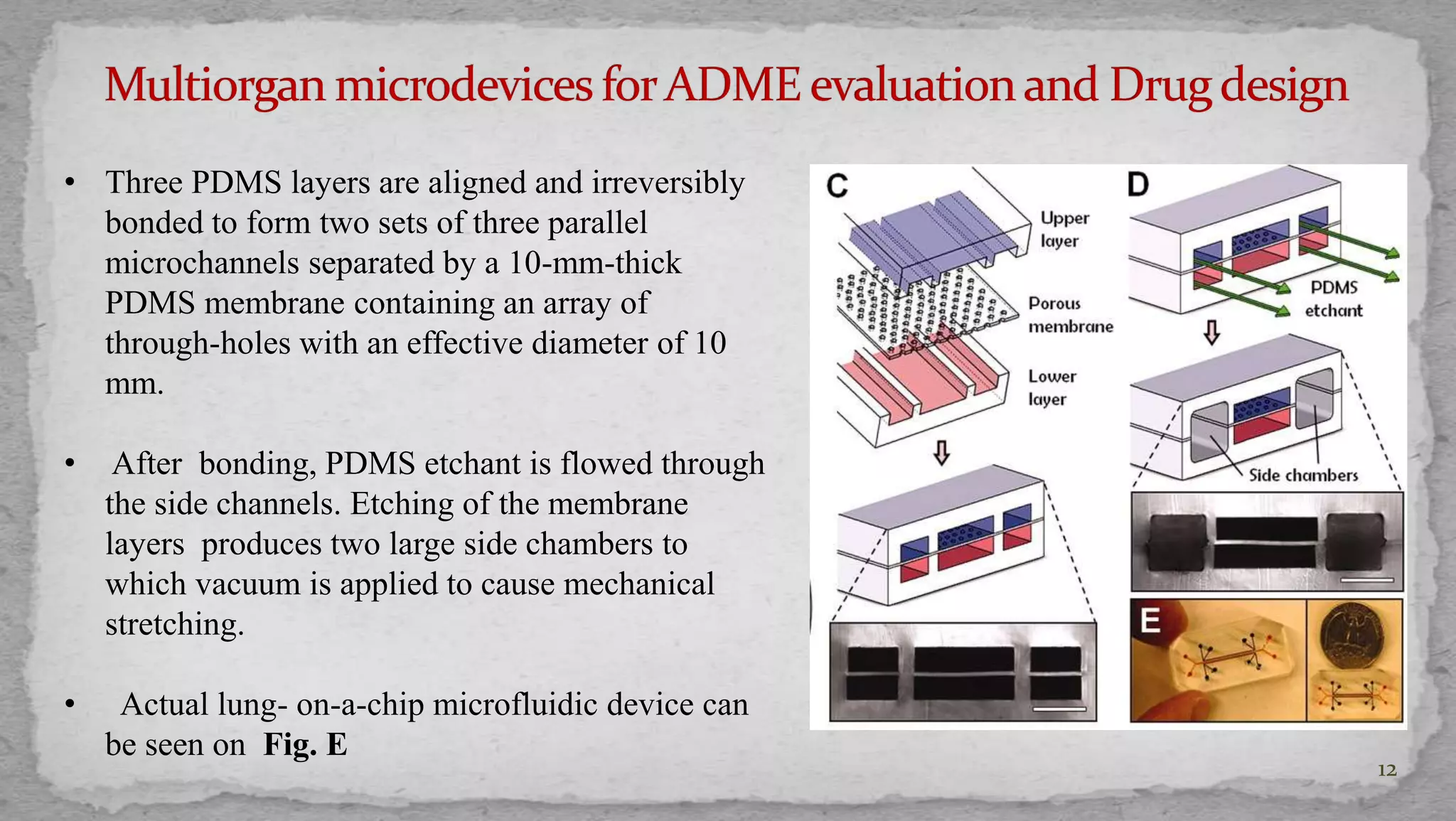12 
• Three PDMS layers are aligned and irreversibly 
bonded to form two sets of three parallel 
microchannels separated by a 10-mm-thick 
PDMS membrane containing an array of 
through-holes with an effective diameter of 10 
mm. 
• After bonding, PDMS etchant is flowed through 
the side channels. Etching of the membrane 
layers produces two large side chambers to 
which vacuum is applied to cause mechanical 
stretching. 
• Actual lung- on-a-chip microfluidic device can 
be seen on Fig. E 
 