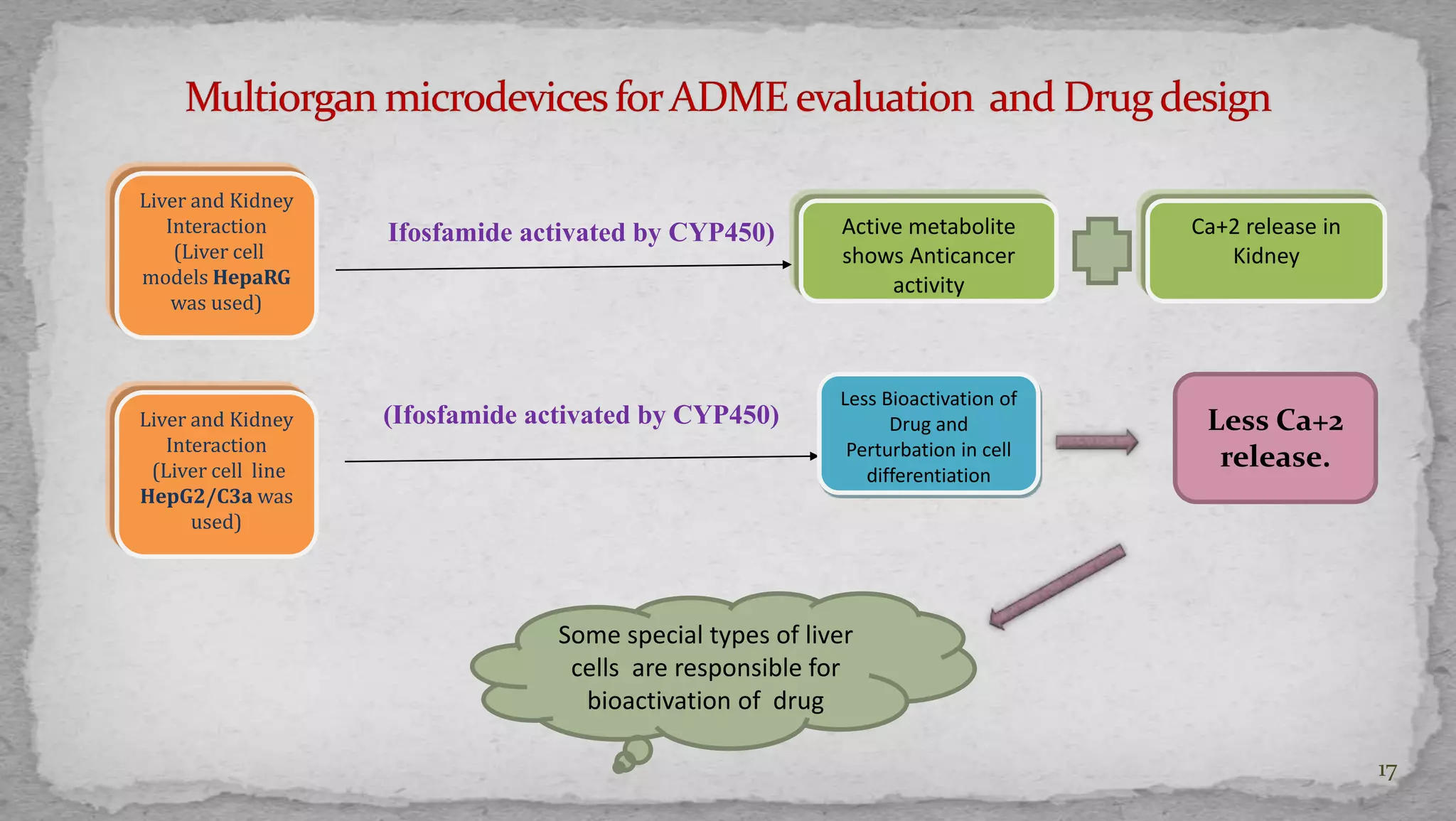 17 
Liver and Kidney 
Interaction 
(Liver cell 
models HepaRG 
was used) 
Ca+2 release in 
Kidney 
Active metabolite 
shows Anticancer 
activity 
Liver and Kidney 
Interaction 
(Liver cell line 
HepG2/C3a was 
used) 
Less Bioactivation of 
Drug and 
Perturbation in cell 
differentiation 
Ifosfamide activated by CYP450) 
(Ifosfamide activated by CYP450) 
Less Ca+2 
release. 
Some special types of liver 
cells are responsible for 
bioactivation of drug 
 