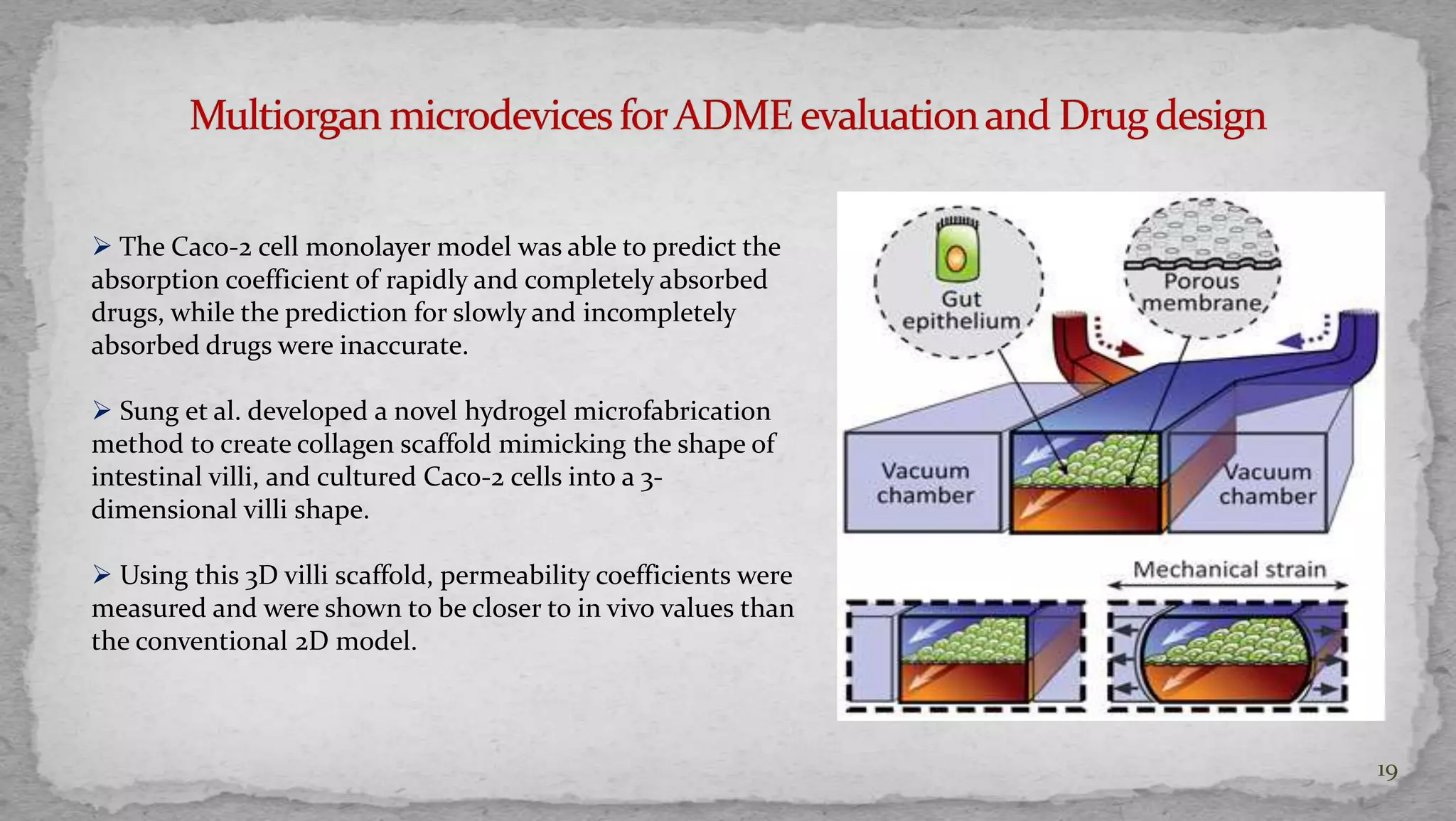 19 
 The Caco-2 cell monolayer model was able to predict the 
absorption coefficient of rapidly and completely absorbed 
drugs, while the prediction for slowly and incompletely 
absorbed drugs were inaccurate. 
 Sung et al. developed a novel hydrogel microfabrication 
method to create collagen scaffold mimicking the shape of 
intestinal villi, and cultured Caco-2 cells into a 3- 
dimensional villi shape. 
 Using this 3D villi scaffold, permeability coefficients were 
measured and were shown to be closer to in vivo values than 
the conventional 2D model. 
 