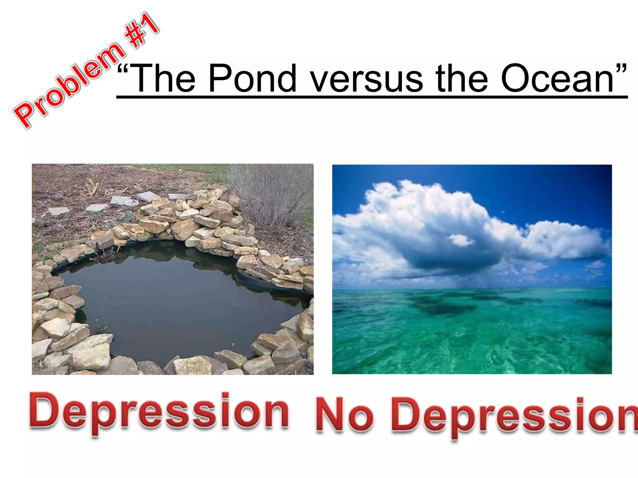 “The Pond of Serotonin versus the
Ocean of Serotonin”
 