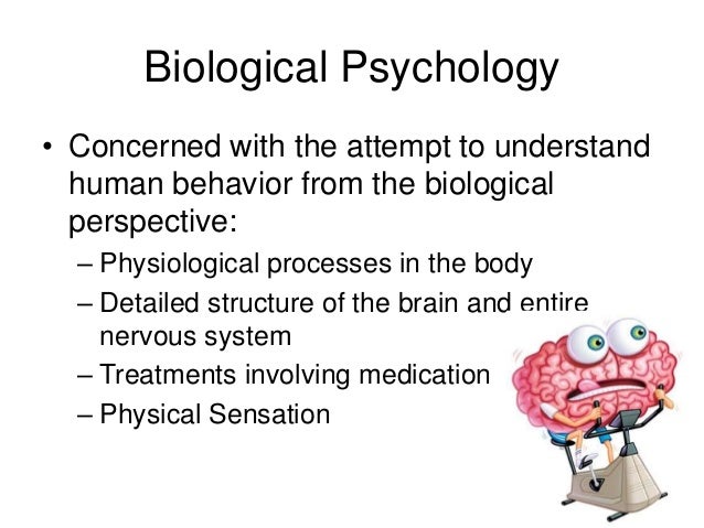 Cognitive psychology problem solving