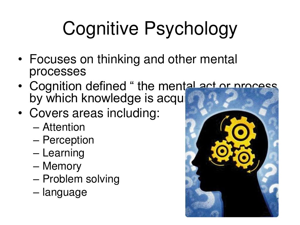Multi perspective lens of psychology for slide share