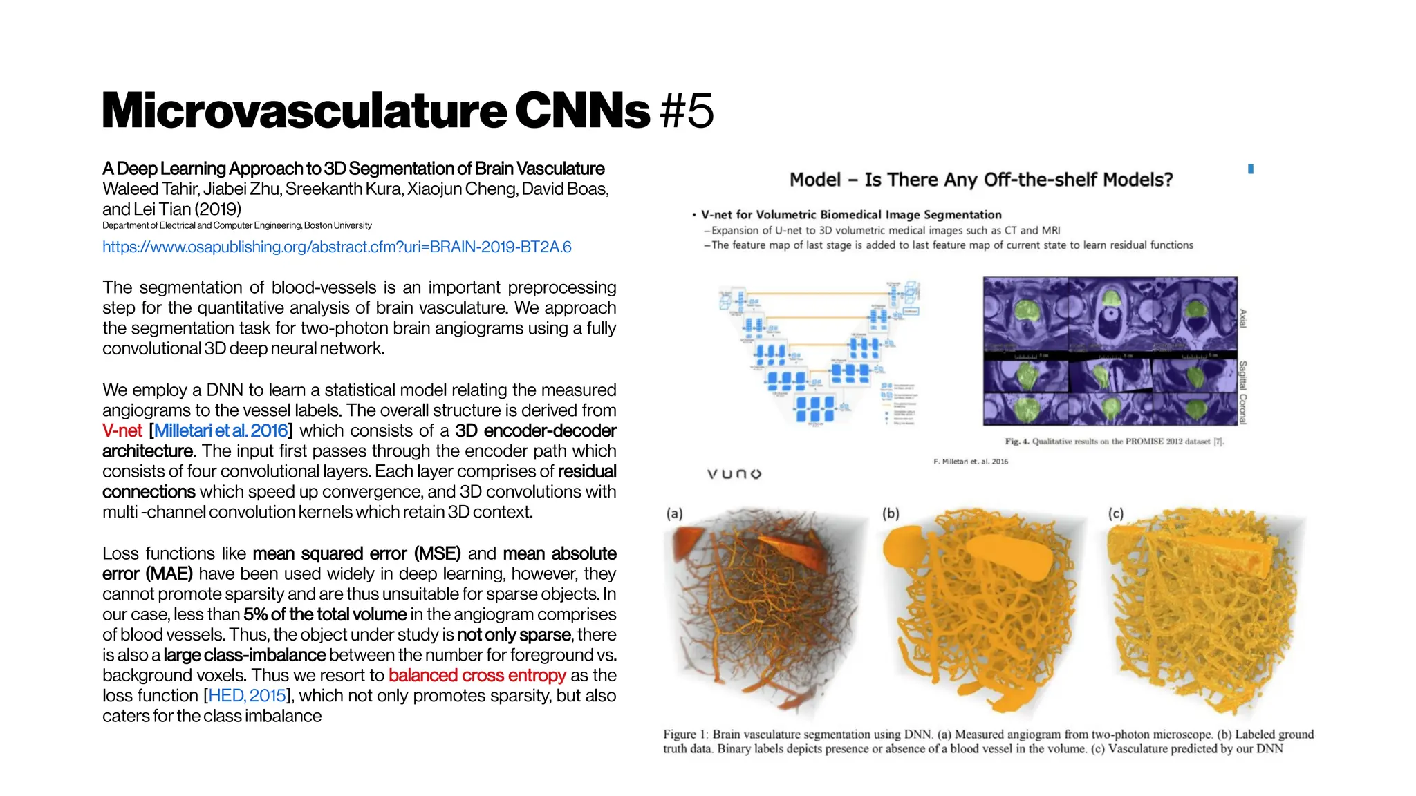 MicrovasculatureCNNs #5
A Deep Learning Approach to 3D Segmentation of Brain Vasculature
Waleed Tahir, Jiabei Zhu, Sreekanth Kura,Xiaojun Cheng,DavidBoas,
and Lei Tian (2019)
Department of Electrical and Computer Engineering, Boston University
https://www.osapublishing.org/abstract.cfm?uri=BRAIN-2019-BT2A.6
The segmentation of blood-vessels is an important preprocessing
step for the quantitative analysis of brain vasculature. We approach
the segmentation task for two-photon brain angiograms using a fully
convolutional 3D deep neural network.
We employ a DNN to learn a statistical model relating the measured
angiograms to the vessel labels. The overall structure is derived from
V-net [Milletari et al.2016] which consists of a 3D encoder-decoder
architecture. The input first passes through the encoder path which
consists of four convolutional layers. Each layer comprises of residual
connections which speed up convergence, and 3D convolutions with
multi-channel convolution kernels which retain 3D context.
Loss functions like mean squared error (MSE) and mean absolute
error (MAE) have been used widely in deep learning, however, they
cannot promote sparsity and are thus unsuitable for sparse objects. In
our case, less than 5% of the total volume in the angiogram comprises
of blood vessels. Thus, the object under study is not only sparse, there
is also a large class-imbalance between the number for foreground vs.
background voxels. Thus we resort to balanced cross entropy as the
loss function [HED, 2015], which not only promotes sparsity, but also
caters fortheclass imbalance
 