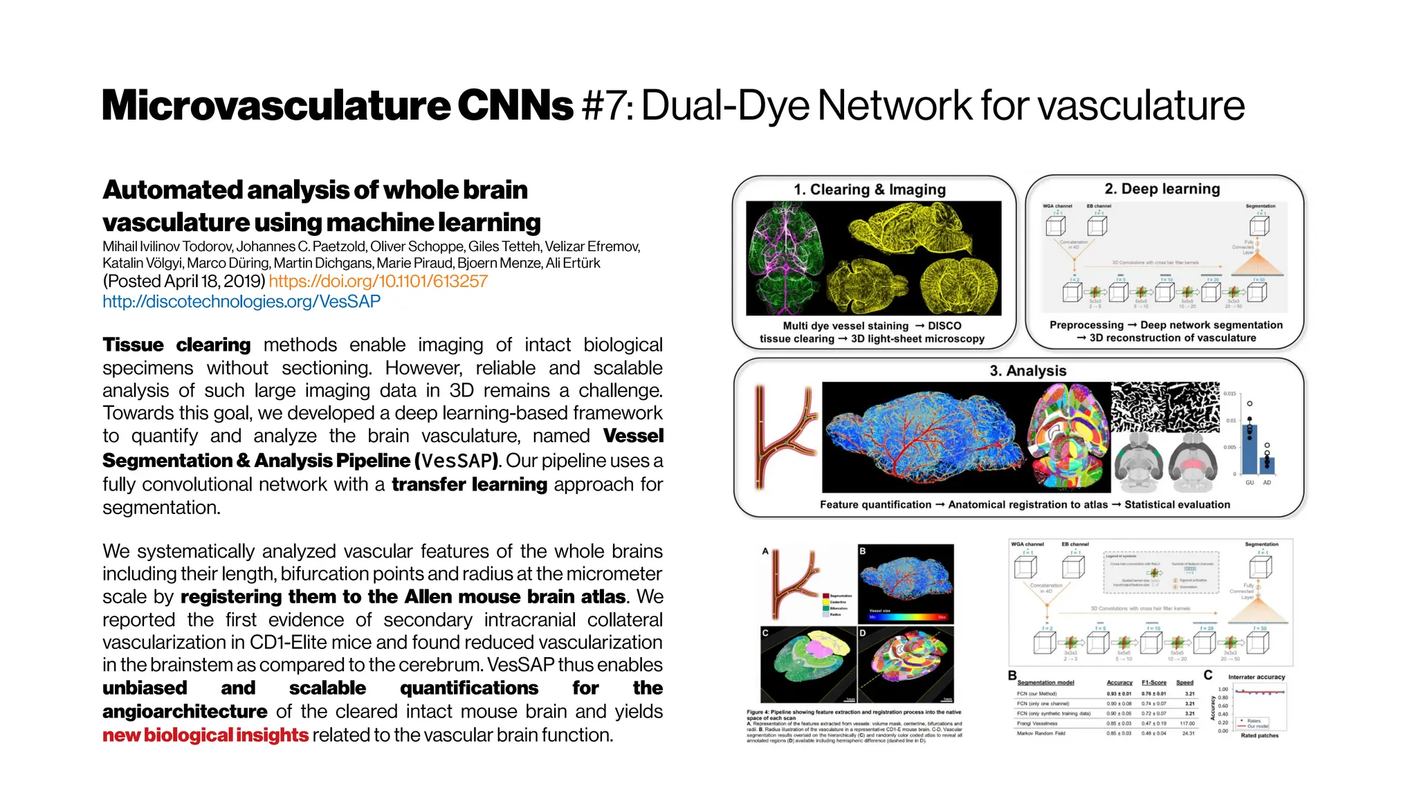 MicrovasculatureCNNs #7: Dual-Dye Network for vasculature
Automatedanalysisof wholebrain
vasculature usingmachinelearning
Mihail Ivilinov Todorov, Johannes C. Paetzold, Oliver Schoppe, Giles Tetteh, Velizar Efremov,
Katalin Völgyi, Marco Düring, Martin Dichgans, Marie Piraud, Bjoern Menze, Ali Ertürk
(Posted April 18, 2019) https://doi.org/10.1101/613257
http://discotechnologies.org/VesSAP
Tissue clearing methods enable imaging of intact biological
specimens without sectioning. However, reliable and scalable
analysis of such large imaging data in 3D remains a challenge.
Towards this goal, we developed a deep learning-based framework
to quantify and analyze the brain vasculature, named Vessel
Segmentation & Analysis Pipeline (VesSAP). Our pipeline uses a
fully convolutional network with a transfer learning approach for
segmentation.
We systematically analyzed vascular features of the whole brains
including their length, bifurcation points and radius at the micrometer
scale by registering them to the Allen mouse brain atlas. We
reported the first evidence of secondary intracranial collateral
vascularization in CD1-Elite mice and found reduced vascularization
in the brainstem as compared to the cerebrum. VesSAP thus enables
unbiased and scalable quantifications for the
angioarchitecture of the cleared intact mouse brain and yields
newbiological insights related to the vascular brain function.
 