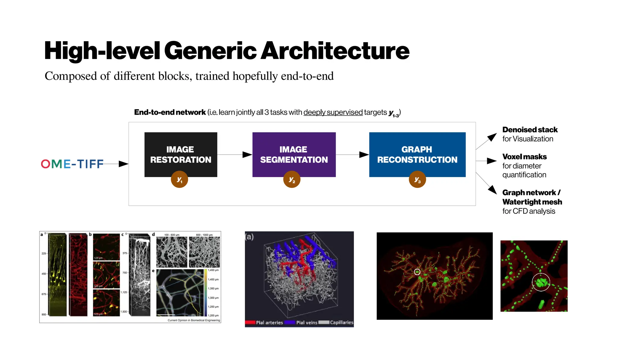 High-level GenericArchitecture
IMAGE
RESTORATION
IMAGE
SEGMENTATION
GRAPH
RECONSTRUCTION
Denoisedstack
forVisualization
Voxelmasks
fordiameter
quantification
Graphnetwork/
Watertightmesh
forCFD analysis
y1
y2
y3
End-to-endnetwork(i.e. learn jointlyall 3tasks with deeply supervisedtargets y1-3
)
Composed of different blocks, trained hopefully end-to-end
 