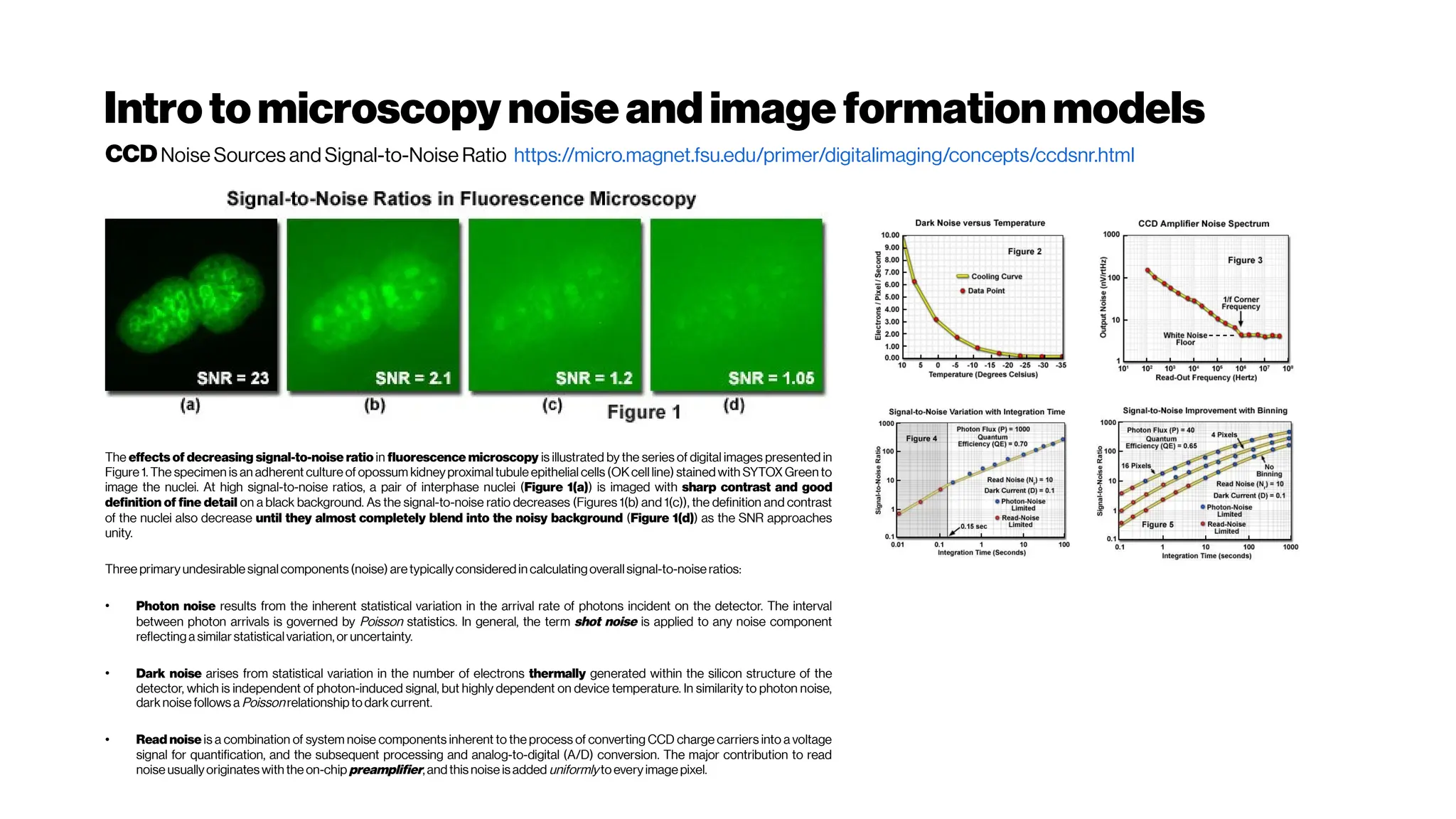 Introtomicroscopy noiseandimage formationmodels
The effects of decreasing signal-to-noise ratio in fluorescence microscopy is illustrated by the series of digital images presented in
Figure 1. The specimen is an adherent culture of opossum kidney proximaltubule epithelial cells (OKcell line) stained with SYTOX Green to
image the nuclei. At high signal-to-noise ratios, a pair of interphase nuclei (Figure 1(a)) is imaged with sharp contrast and good
definition of fine detail on a black background. As the signal-to-noise ratio decreases (Figures 1(b) and 1(c)), the definition and contrast
of the nuclei also decrease until they almost completely blend into the noisy background (Figure 1(d)) as the SNR approaches
unity.
Three primaryundesirable signalcomponents(noise) aretypicallyconsideredin calculatingoverallsignal-to-noise ratios:
●
Photon noise results from the inherent statistical variation in the arrival rate of photons incident on the detector. The interval
between photon arrivals is governed by Poisson statistics. In general, the term shot noise is applied to any noise component
reflectinga similarstatisticalvariation, or uncertainty.
●
Dark noise arises from statistical variation in the number of electrons thermally generated within the silicon structure of the
detector, which is independent of photon-induced signal, but highly dependent on device temperature. In similarity to photon noise,
dark noise follows a Poisson relationshiptodark current.
●
Read noise is a combination of system noise components inherent to the process of converting CCD charge carriers into a voltage
signal for quantification, and the subsequent processing and analog-to-digital (A/D) conversion. The major contribution to read
noise usuallyoriginates with the on-chip preamplifier, andthisnoise isadded uniformlytoeveryimage pixel.
CCDNoise Sources and Signal-to-Noise Ratio https://micro.magnet.fsu.edu/primer/digitalimaging/concepts/ccdsnr.html
 