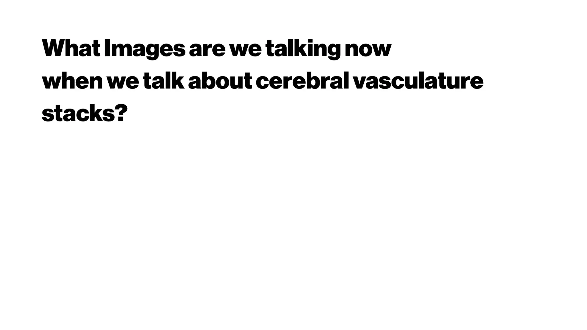 WhatImagesarewe talkingnow
whenwe talkaboutcerebralvasculature
stacks?
 