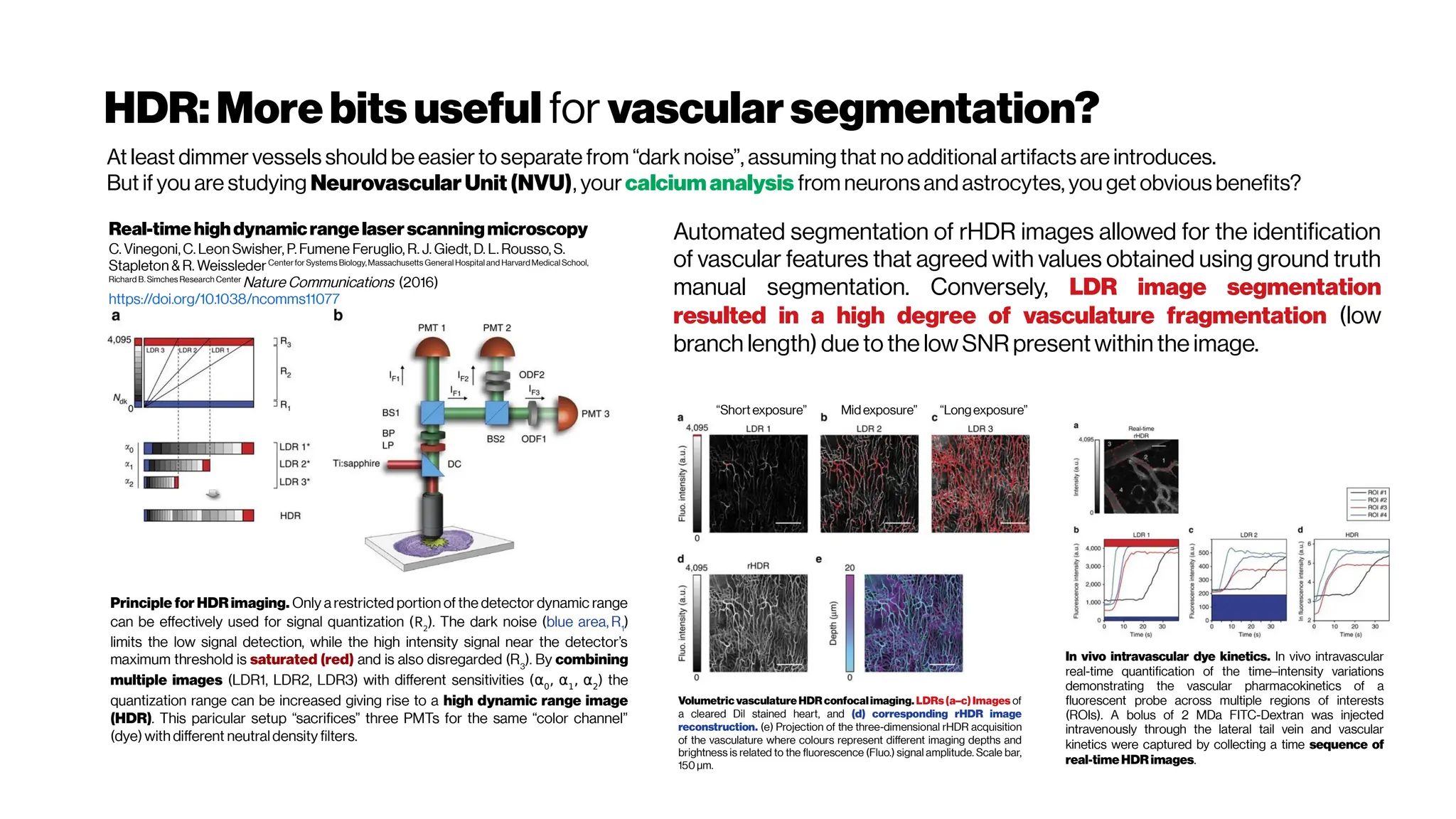HDR:Morebits useful for vascularsegmentation?
At least dimmer vessels should beeasier to separate from “dark noise”, assuming that no additional artifacts are introduces.
But if you are studying NeurovascularUnit (NVU), yourcalciumanalysis from neurons and astrocytes, you get obvious benefits?
Real-timehighdynamicrangelaserscanningmicroscopy
C. Vinegoni, C. Leon Swisher, P. Fumene Feruglio, R. J. Giedt, D. L. Rousso, S.
Stapleton & R. WeisslederCenterfor Systems Biology,Massachusetts General Hospital and Harvard Medical School,
Richard B. Simches Research Center
Nature Communications (2016)
https://doi.org/10.1038/ncomms11077
Principle for HDR imaging. Only a restricted portion of the detector dynamic range
can be effectively used for signal quantization (R2
). The dark noise (blue area, R1
)
limits the low signal detection, while the high intensity signal near the detector’s
maximum threshold is saturated (red) and is also disregarded (R3
). By combining
multiple images (LDR1, LDR2, LDR3) with different sensitivities (α0
, α1
, α2
) the
quantization range can be increased giving rise to a high dynamic range image
(HDR). This paricular setup “sacrifices” three PMTs for the same “color channel”
(dye) with different neutral density filters.
In vivo intravascular dye kinetics. In vivo intravascular
real-time quantification of the time–intensity variations
demonstrating the vascular pharmacokinetics of a
fluorescent probe across multiple regions of interests
(ROIs). A bolus of 2 MDa FITC-Dextran was injected
intravenously through the lateral tail vein and vascular
kinetics were captured by collecting a time sequence of
real-timeHDR images.
Automated segmentation of rHDR images allowed for the identification
of vascular features that agreed with values obtained using ground truth
manual segmentation. Conversely, LDR image segmentation
resulted in a high degree of vasculature fragmentation (low
branch length) due to the low SNR presentwithinthe image.
“Shortexposure” “Longexposure”
Midexposure”
Volumetric vasculature HDR confocalimaging. LDRs(a–c)Images of
a cleared Dil stained heart, and (d) corresponding rHDR image
reconstruction. (e) Projection of the three-dimensional rHDR acquisition
of the vasculature where colours represent different imaging depths and
brightness is related to the fluorescence (Fluo.) signal amplitude. Scale bar,
150 μm.
 