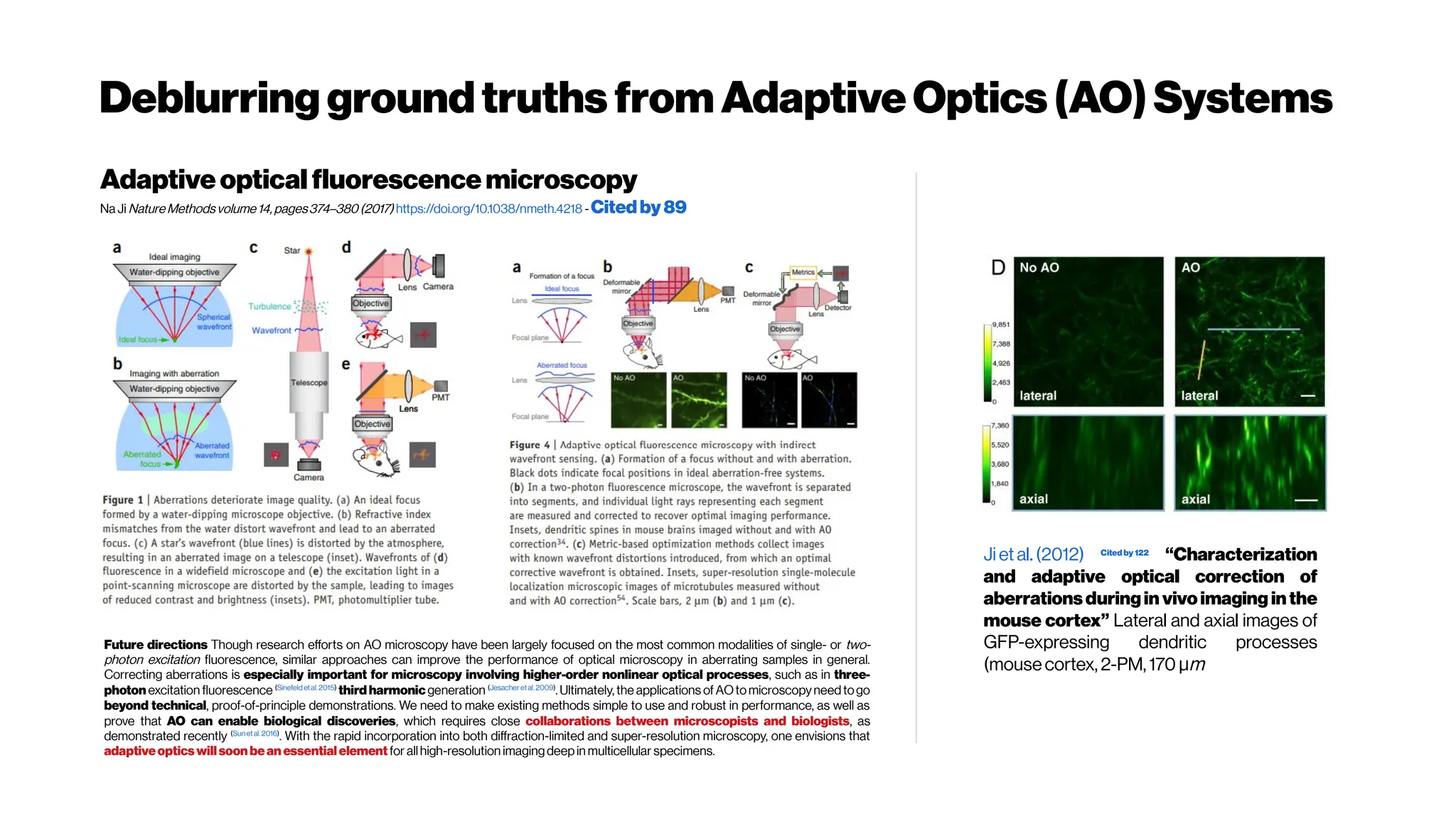 Deblurring groundtruths from AdaptiveOptics(AO) Systems
Adaptiveoptical fluorescencemicroscopy
Na Ji NatureMethodsvolume14, pages374–380(2017) https://doi.org/10.1038/nmeth.4218 -Citedby89
Jiet al. (2012) Cited by 122
“Characterization
and adaptive optical correction of
aberrationsduringin vivoimaging inthe
mouse cortex” Lateral and axial images of
GFP-expressing dendritic processes
(mousecortex, 2-PM, 170 μm
Future directions Though research efforts on AO microscopy have been largely focused on the most common modalities of single- or two-
photon excitation fluorescence, similar approaches can improve the performance of optical microscopy in aberrating samples in general.
Correcting aberrations is especially important for microscopy involving higher-order nonlinear optical processes, such as in three-
photon excitation fluorescence (Sinefeld etal.2015)
thirdharmonicgeneration (Jesacheretal.2009)
. Ultimately, the applications ofAOtomicroscopyneedtogo
beyond technical, proof-of-principle demonstrations. We need to make existing methods simple to use and robust in performance, as well as
prove that AO can enable biological discoveries, which requires close collaborations between microscopists and bio­logists, as
demonstrated recently (Sunetal.2016)
. With the rapid incorporation into both diffraction-limited and super-resolution microscopy, one envisions that
adaptiveopticswill soon bean essential elementfor allhigh-resolution imagingdeepin multicellular specimens.
 