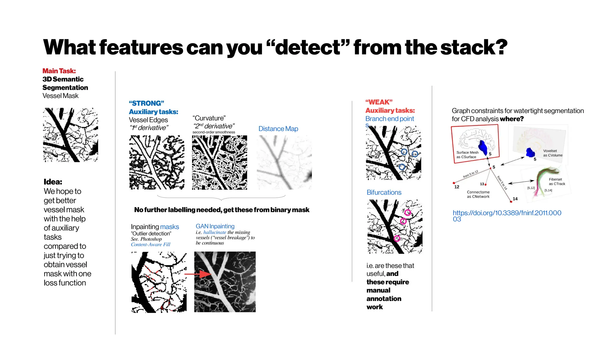 Whatfeaturescanyou“detect”fromthestack?
MainTask:
3DSemantic
Segmentation
Vessel Mask
“STRONG”
Auxiliarytasks:
Vessel Edges
“1st
derivative” Distance Map
Bifurcations
“WEAK”
Auxiliarytasks:
Branch end point
s
Graph constraints for watertight segmentation
for CFDanalysis where?
https://doi.org/10.3389/fninf.2011.000
03
Inpainting masks
”Outlier detection”
See. Photoshop
Content-Aware Fill
GAN Inpainting
i.e. hallucinate the missing
vessels (“vessel breakage”) to
be continuous
Idea:
We hope to
get better
vessel mask
with the help
of auxiliary
tasks
compared to
just trying to
obtain vessel
mask with one
loss function
i.e. are these that
useful, and
theserequire
manual
annotation
work
“Curvature”
“2nd
derivative”
second-order smoothness
prior
Nofurtherlabellingneeded,getthesefrombinarymask
 