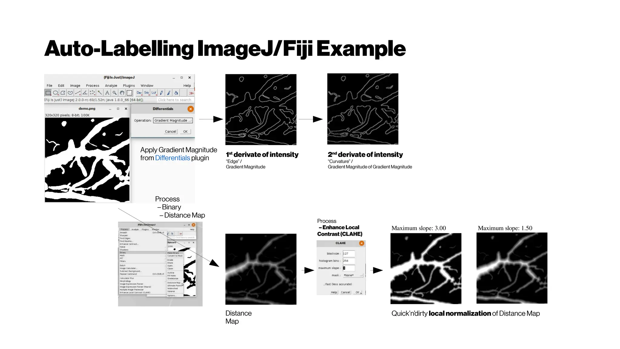 Auto-LabellingImageJ/FijiExample
1st
derivateof intensity
“Edge”/
Gradient Magnitude
2nd
derivateof intensity
“Curvature” /
GradientMagnitudeof Gradient Magnitude
Apply Gradient Magnitude
from Differentials plugin
Process
– Binary
– Distance Map
Distance
Map
Process
– EnhanceLocal
Contrast(CLAHE)
Quick’n’dirty localnormalizationof Distance Map
Maximum slope: 1.50
Maximum slope: 3.00
 