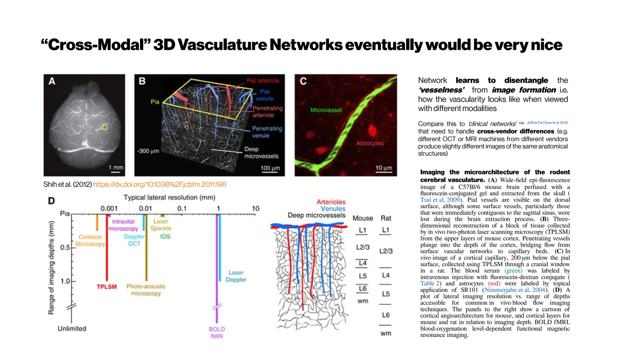 “Cross-Modal” 3DVasculatureNetworkseventually wouldbe very nice
Imaging the microarchitecture of the rodent
cerebral vasculature. (A) Wide-field epi-fluorescence
image of a C57Bl/6 mouse brain perfused with a
fluorescein-conjugated gel and extracted from the skull (
Tsai et al, 2009). Pial vessels are visible on the dorsal
surface, although some surface vessels, particularly those
that were immediately contiguous to the sagittal sinus, were
lost during the brain extraction process. (B) Three-
dimensional reconstruction of a block of tissue collected
by in vivo two-photon laser scanning microscopy (TPLSM)
from the upper layers of mouse cortex. Penetrating vessels
plunge into the depth of the cortex, bridging flow from
surface vascular networks to capillary beds. (C) In
vivo image of a cortical capillary, 200 μm below the pial
surface, collected using TPLSM through a cranial window
in a rat. The blood serum (green) was labeled by
intravenous injection with fluorescein-dextran conjugate (
Table 2) and astrocytes (red) were labeled by topical
application of SR101 (Nimmerjahn et al, 2004). (D) A
plot of lateral imaging resolution vs. range of depths
accessible for common in vivo blood flow imaging
techniques. The panels to the right show a cartoon of
cortical angioarchitecture for mouse, and cortical layers for
mouse and rat in relation to imaging depth. BOLD fMRI,
blood-oxygenation level-dependent functional magnetic
resonance imaging.
Network learns to disentangle the
‘vesselness’ from image formation i.e.
how the vascularity looks like when viewed
with different modalities
Compare this to ‘clinical networks’ e.g. Jeffrey De Fauw et al. 2018
that need to handle cross-vendor differences (e.g.
different OCT or MRI machines from different vendors
produce slightly different images of the same anatomical
structures)
Shih et al. (2012)https://dx.doi.org/10.1038%2Fjcbfm.2011.196
 