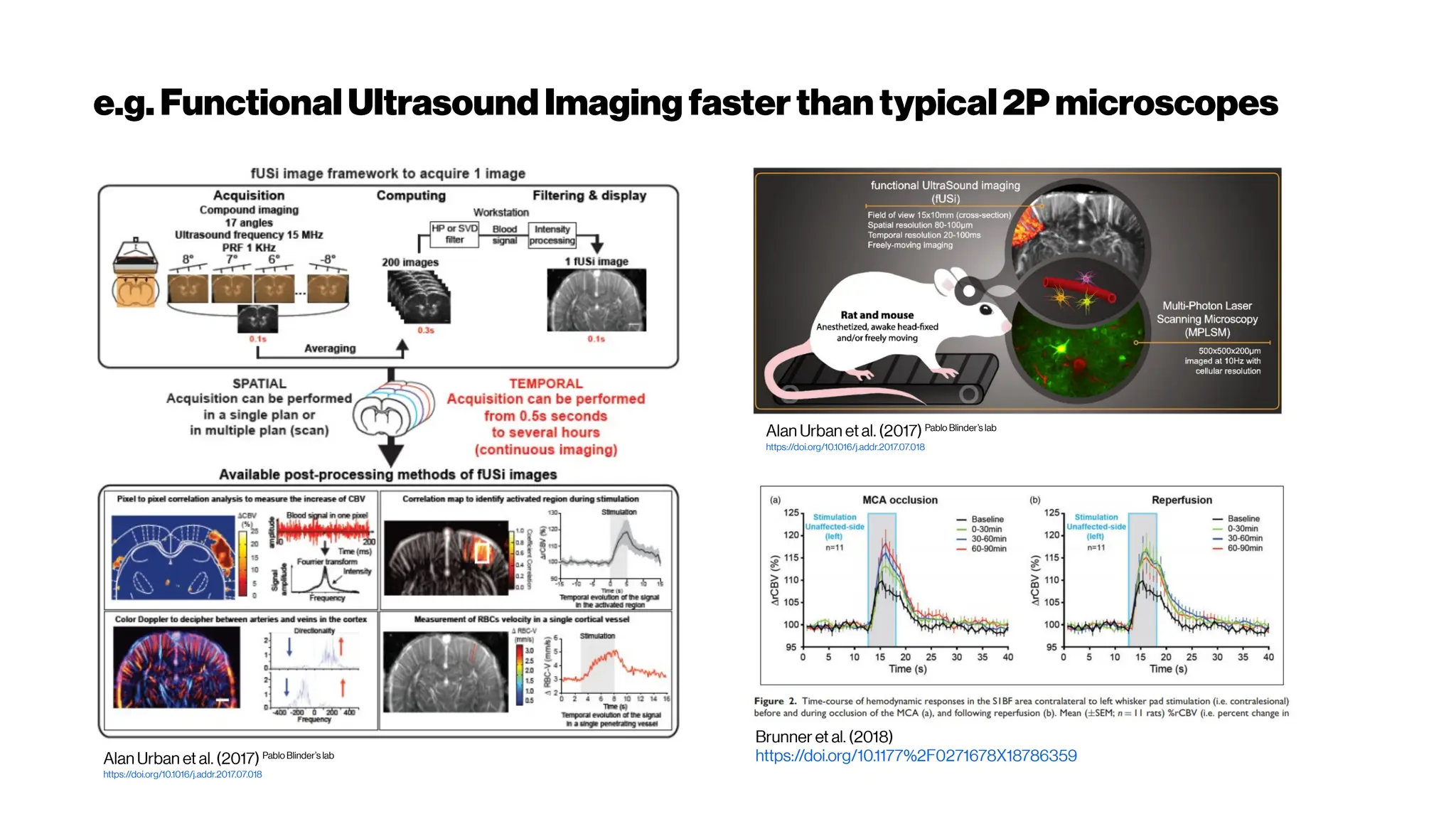 e.g. FunctionalUltrasoundImaging fasterthantypical2Pmicroscopes
Alan Urban etal. (2017) Pablo Blinder’s lab
https://doi.org/10.1016/j.addr.2017.07.018
Alan Urban et al. (2017) Pablo Blinder’s lab
https://doi.org/10.1016/j.addr.2017.07.018
Brunner et al. (2018)
https://doi.org/10.1177%2F0271678X18786359
 