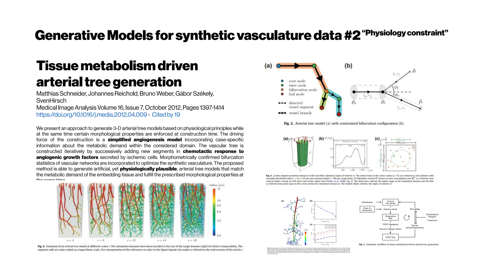 GenerativeModels forsyntheticvasculaturedata#2“Physiologyconstraint”
Tissuemetabolismdriven
arterialtreegeneration
Matthias Schneider,Johannes Reichold,Bruno Weber,Gábor Székely,
SvenHirsch
Medical ImageAnalysis Volume16, Issue 7, October2012, Pages 1397-1414
https://doi.org/10.1016/j.media.2012.04.009 - Cited by 19
We present an approach to generate 3-D arterial tree models based on physiological principles while
at the same time certain morphological properties are enforced at construction time. The driving
force of the construction is a simplified angiogenesis model incorporating case-specific
information about the metabolic demand within the considered domain. The vascular tree is
constructed iteratively by successively adding new segments in chemotactic response to
angiogenic growth factors secreted by ischemic cells. Morphometrically confirmed bifurcation
statistics of vascular networks are incorporated to optimize the synthetic vasculature. The proposed
method is able to generate artificial, yet physiologically plausible, arterial tree models that match
the metabolic demand of the embedding tissue and fulfill the prescribed morphological properties at
the same time.
 