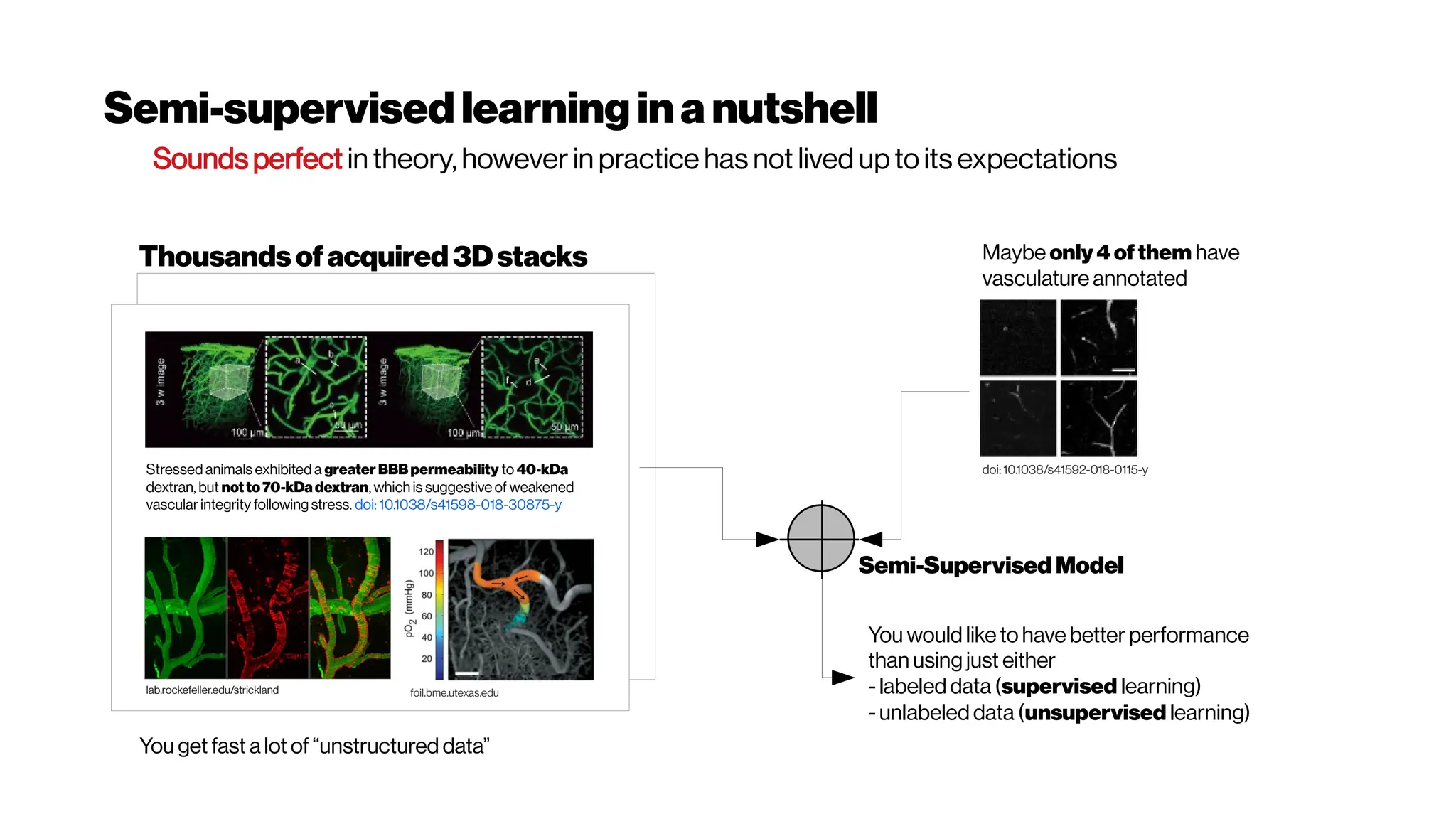 Semi-supervised learning ina nutshell
Sounds perfect in theory, however in practice has not lived up toits expectations
lab.rockefeller.edu/strickland foil.bme.utexas.edu
Stressed animals exhibited a greater BBB permeability to 40-kDa
dextran, but not to 70-kDa dextran, which is suggestive of weakened
vascular integrity following stress. doi: 10.1038/s41598-018-30875-y
Thousandsofacquired3Dstacks
doi: 10.1038/s41592-018-0115-y
Maybe only4ofthem have
vasculature annotated
Semi-Supervised Model
You would like to have better performance
than using just either
- labeled data (supervised learning)
- unlabeled data (unsupervised learning)
You get fast a lot of “unstructured data”
 