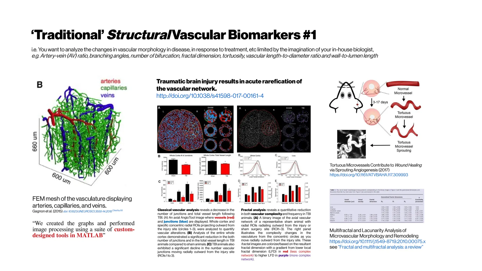 ‘Traditional’StructuralVascularBiomarkers #1
i.e. You want to analyze the changes in vascular morphology in disease, in response totreatment, etc limited by the imagination of your in-house biologist,
e.g. Artery-vein (AV) ratio, branching angles, number of bifurcation, fractal dimension, tortuosity, vascular length-to-diameter ratioand wall-to-lumen length
FEMmesh ofthevasculaturedisplaying
arteries, capillaries,and veins.
Gagnon etal. (2015)doi: 10.1523/JNEUROSCI.3555-14.2015 Cited by 93
“We created the graphs and performed
image processing using a suite of custom-
designed tools in MATLAB”
Classical vascular analysis reveals a decrease in the
number of junctions and total vessel length following
TBI. (A) An axial AngioTool image where vessels (red)
and junctions (blue) are displayed. Whole cortex and
specific concentric radial ROIs projecting outward from
the injury site (circles 1–3), were analyzed to quantify
vascular alterations. (B) Analysis of the entire whole
cortex demonstrated a significant reduction in the both
number of junctions and in the total vessel length in TBI
animals compared to sham animals. (C) TBIanimals also
exhibited a significant decline in the number vascular
junctions moving radially outward from the injury site
(ROIs 1 to 3).
Fractal analysis reveals a quantitative reduction
in both vascular complexityand frequency in TBI
animals. (A) A binary image of the axial vascular
network of a representative sham animal with
radial ROIs radiating outward from the injury or
sham surgery site (ROI1–3). The right panel
illustrates the complexity changes in the
vasculature from the concentric circles as you
move radially outward from the injury site. These
fractal images are colorized based on the resultant
fractal dimension with a gradient from lower local
fractal dimension (LFD) in red (less complex
network) to higher LFD in purple (more complex
network).
Traumaticbraininjuryresultsinacuterareficationof
thevascularnetwork.
http://doi.org/10.1038/s41598-017-00161-4
Tortuous Microvessels Contribute to Wound Healing
via SproutingAngiogenesis (2017)
https://doi.org/10.1161/ATVBAHA.117.309993
Multifractal and Lacunarity Analysis of
Microvascular Morphology and Remodeling
https://doi.org/10.1111/j.1549-8719.2010.00075.x
see “Fractal and multifractal analysis: a review”
 