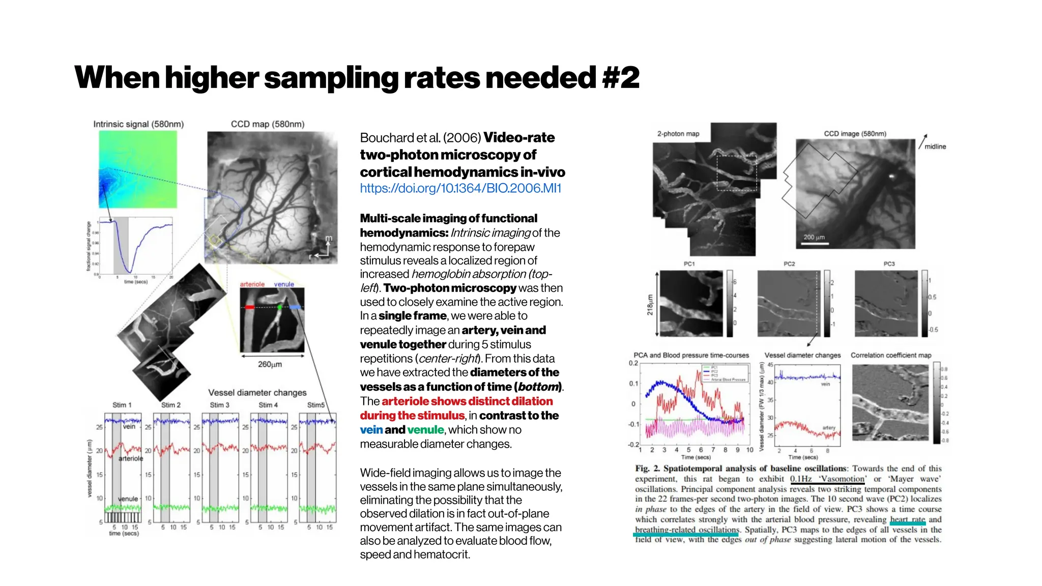 When highersamplingrates needed#2
Bouchard etal. (2006)Video-rate
two-photonmicroscopy of
corticalhemodynamics in-vivo
https://doi.org/10.1364/BIO.2006.MI1
Multi-scaleimagingof functional
hemodynamics:Intrinsic imaging of the
hemodynamic response toforepaw
stimulus reveals a localized region of
increased hemoglobin absorption (top-
left). Two-photonmicroscopywas then
usedto closely examine the active region.
In a singleframe, we were able to
repeatedly image an artery,veinand
venuletogetherduring 5 stimulus
repetitions (center-right). From this data
we have extractedthe diametersof the
vesselsasa functionof time(bottom).
The arterioleshowsdistinctdilation
duringthestimulus, in contrasttothe
vein andvenule, which show no
measurable diameter changes.
Wide-fieldimaging allows us toimage the
vessels in the same plane simultaneously,
eliminating the possibility that the
observed dilation is in fact out-of-plane
movement artifact. The same images can
alsobe analyzed to evaluate blood flow,
speed and hematocrit.
 