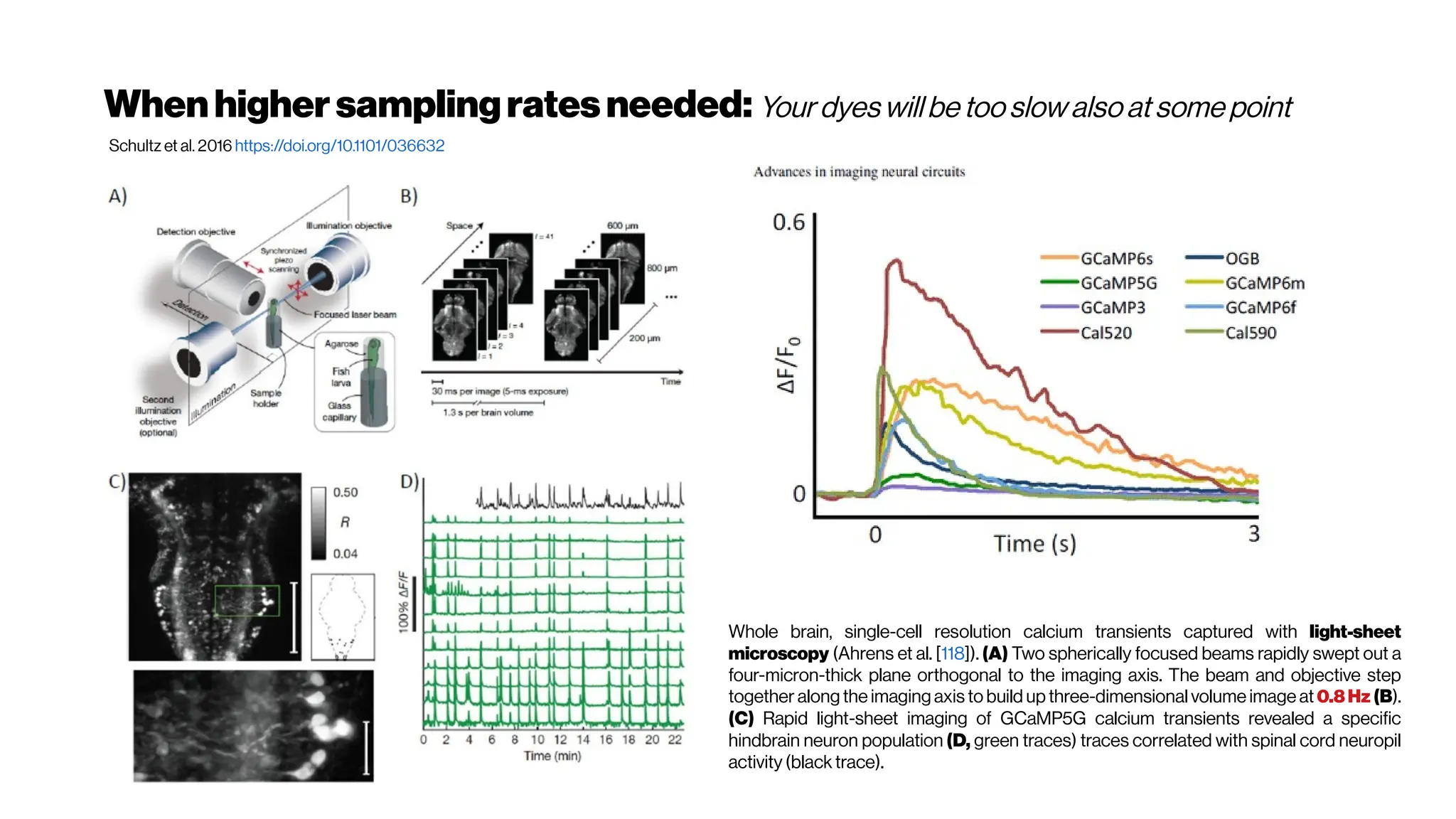 Whenhigher samplingrates needed: Your dyes willbe tooslow alsoat some point
Whole brain, single-cell resolution calcium transients captured with light-sheet
microscopy (Ahrens et al. [118]). (A) Two spherically focused beams rapidly swept out a
four-micron-thick plane orthogonal to the imaging axis. The beam and objective step
together along the imaging axis to build up three-dimensional volume image at 0.8Hz (B).
(C) Rapid light-sheet imaging of GCaMP5G calcium transients revealed a specific
hindbrain neuron population (D, green traces) traces correlated with spinal cord neuropil
activity(black trace).
Schultz et al. 2016 https://doi.org/10.1101/036632
 