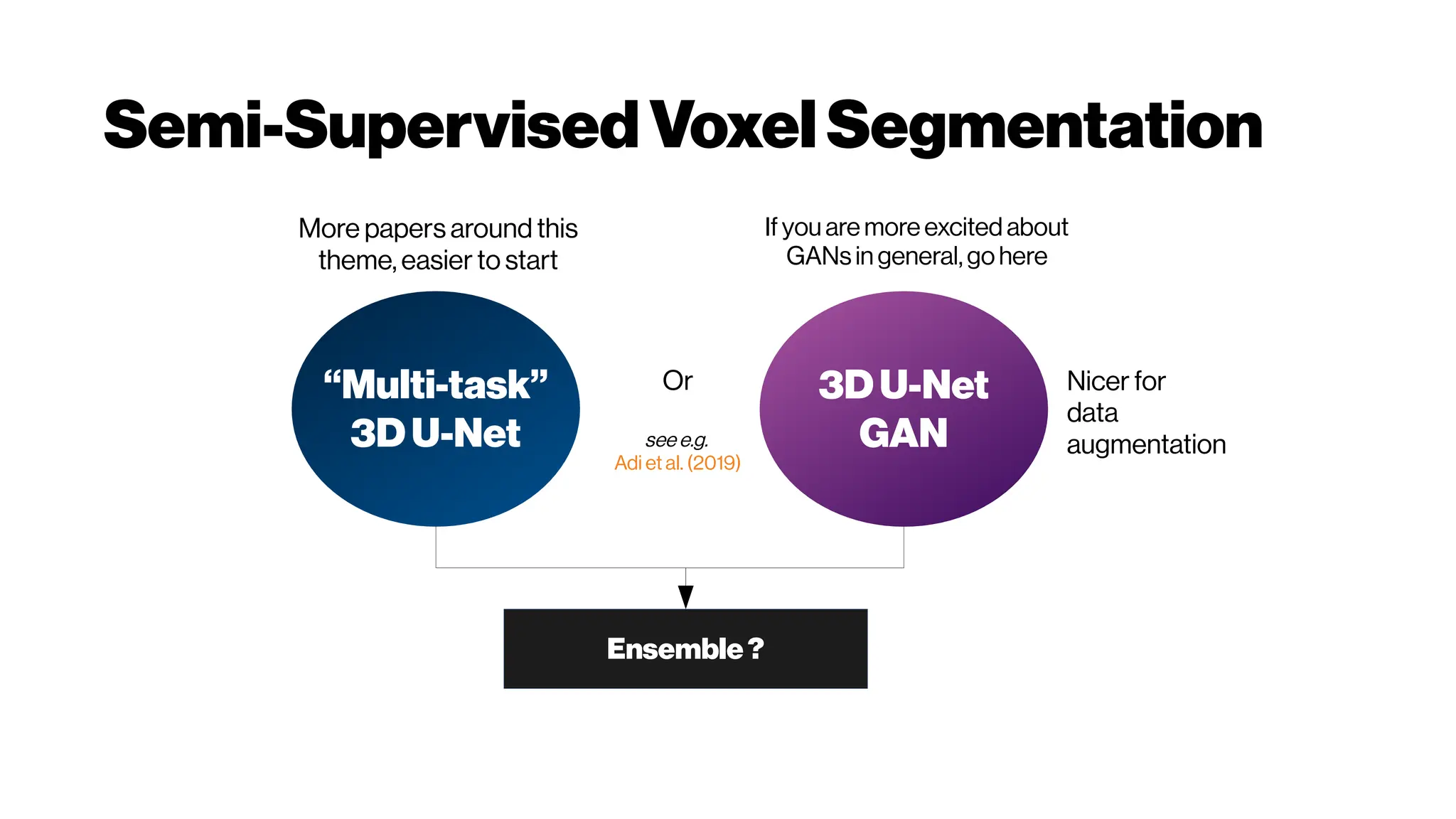 Semi-SupervisedVoxelSegmentation
“Multi-task”
3DU-Net
3DU-Net
GAN
Or
see e.g.
Adi et al. (2019)
Ifyou are more excited about
GANsingeneral, gohere
More papers around this
theme, easier to start
Ensemble?
Nicer for
data
augmentation
 