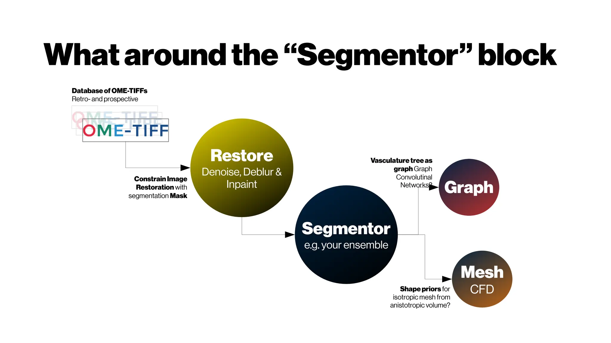 Whataroundthe “Segmentor” block
Segmentor
e.g. your ensemble
Restore
Denoise, Deblur &
Inpaint Graph
Mesh
CFD
DatabaseofOME-TIFFs
Retro- and prospective
ConstrainImage
Restorationwith
segmentation Mask
Shapepriors for
isotropic mesh from
anistotropic volume?
Vasculaturetreeas
graphGraph
Convolutinal
Networks?
 