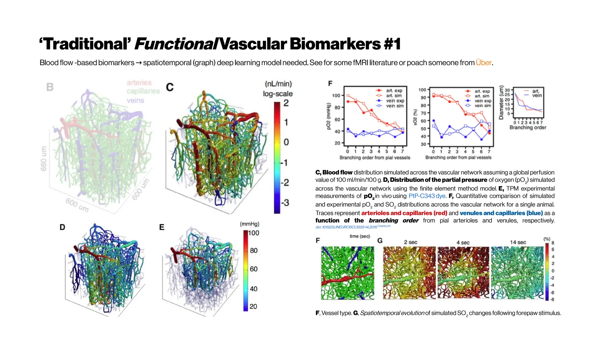 ‘Traditional’FunctionalVascularBiomarkers #1
Blood flow -based biomarkers spatiotemporal (graph) deep learning model needed.See forsome
→ fMRI literatureorpoach someone from Über.
C, Blood flow distribution simulated across the vascular network assuming a global perfusion
value of 100 ml/min/100 g. D, Distribution of the partial pressure of oxygen (pO2
) simulated
across the vascular network using the finite element method model. E, TPM experimental
measurements of pO2
in vivo using PtP-C343 dye. F, Quantitative comparison of simulated
and experimental pO2
and SO2
distributions across the vascular network for a single animal.
Traces represent arterioles and capillaries (red) and venules and capillaries (blue) as a
function of the branching order from pial arterioles and venules, respectively.
doi: 10.1523/JNEUROSCI.3555-14.2015 Cited by93
F, Vessel type. G, Spatiotemporal evolution of simulated SO2
changes following forepaw stimulus.
 