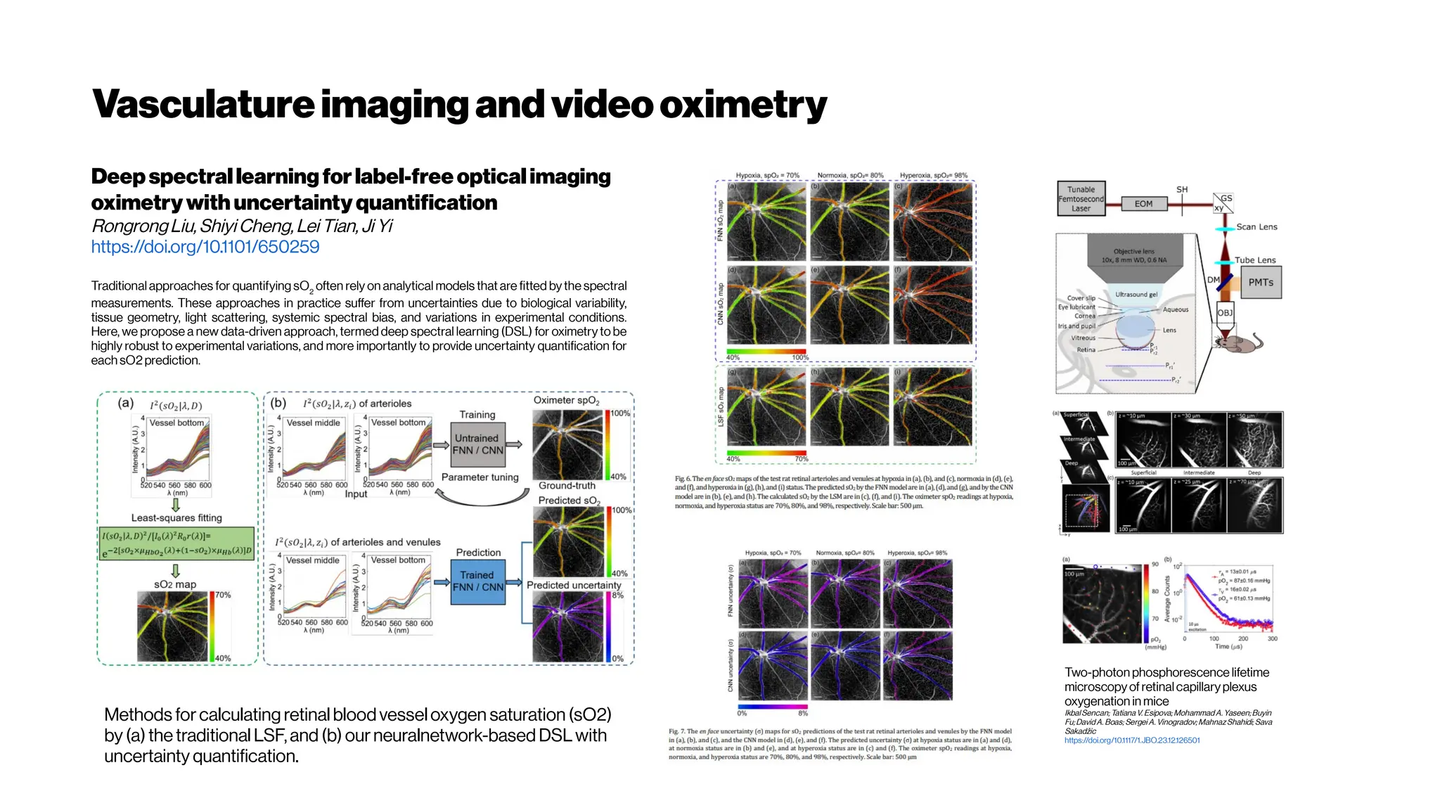 Vasculatureimagingandvideooximetry
Methods forcalculating retinal bloodvesseloxygen saturation (sO2)
by(a)thetraditional LSF,and (b) ourneuralnetwork-based DSLwith
uncertainty quantification.
Deep spectrallearningfor label-freeopticalimaging
oximetrywithuncertaintyquantification
RongrongLiu,ShiyiCheng,Lei Tian,Ji Yi
https://doi.org/10.1101/650259
Traditional approaches for quantifying sO2
often rely on analytical models that are fitted by the spectral
measurements. These approaches in practice suffer from uncertainties due to biological variability,
tissue geometry, light scattering, systemic spectral bias, and variations in experimental conditions.
Here, we propose a new data-driven approach, termed deep spectral learning (DSL) for oximetry to be
highly robust to experimental variations, and more importantly to provide uncertainty quantification for
each sO2prediction.
Two-photon phosphorescence lifetime
microscopyofretinalcapillaryplexus
oxygenation in mice
IkbalSencan; Tatiana V. Esipova;MohammadA. Yaseen;Buyin
Fu;DavidA. Boas; Sergei A. Vinogradov; MahnazShahidi; Sava
Sakadžic
https://doi.org/10.1117/1.JBO.23.12.126501
 