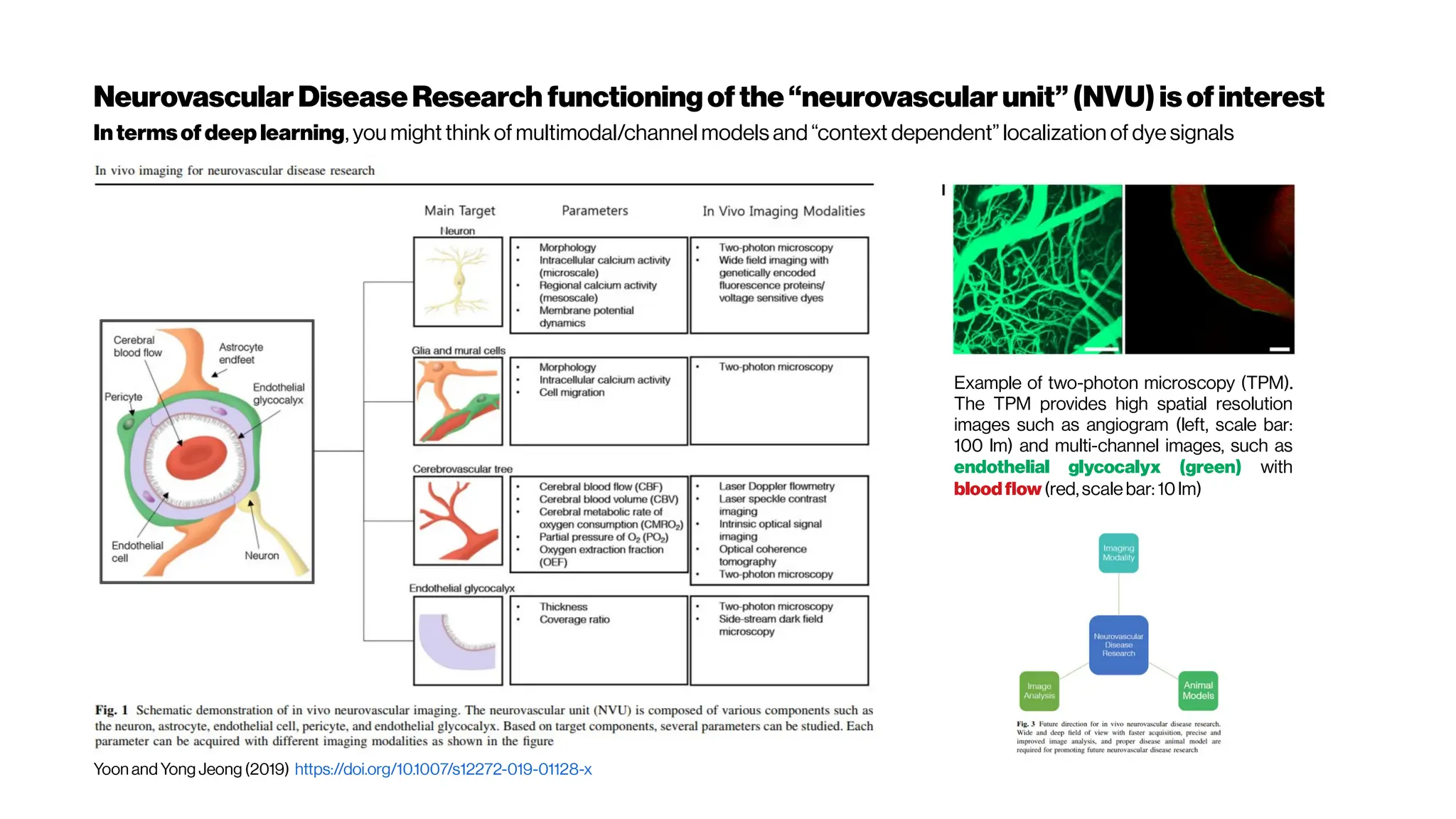 NeurovascularDiseaseResearch functioningofthe“neurovascularunit”(NVU) is ofinterest
Example of two-photon microscopy (TPM).
The TPM provides high spatial resolution
images such as angiogram (left, scale bar:
100 lm) and multi-channel images, such as
endothelial glycocalyx (green) with
bloodflow(red,scalebar: 10lm)
Intermsofdeep learning, you might think of multimodal/channel models and “context dependent” localization of dye signals
Yoon and Yong Jeong (2019) https://doi.org/10.1007/s12272-019-01128-x
 