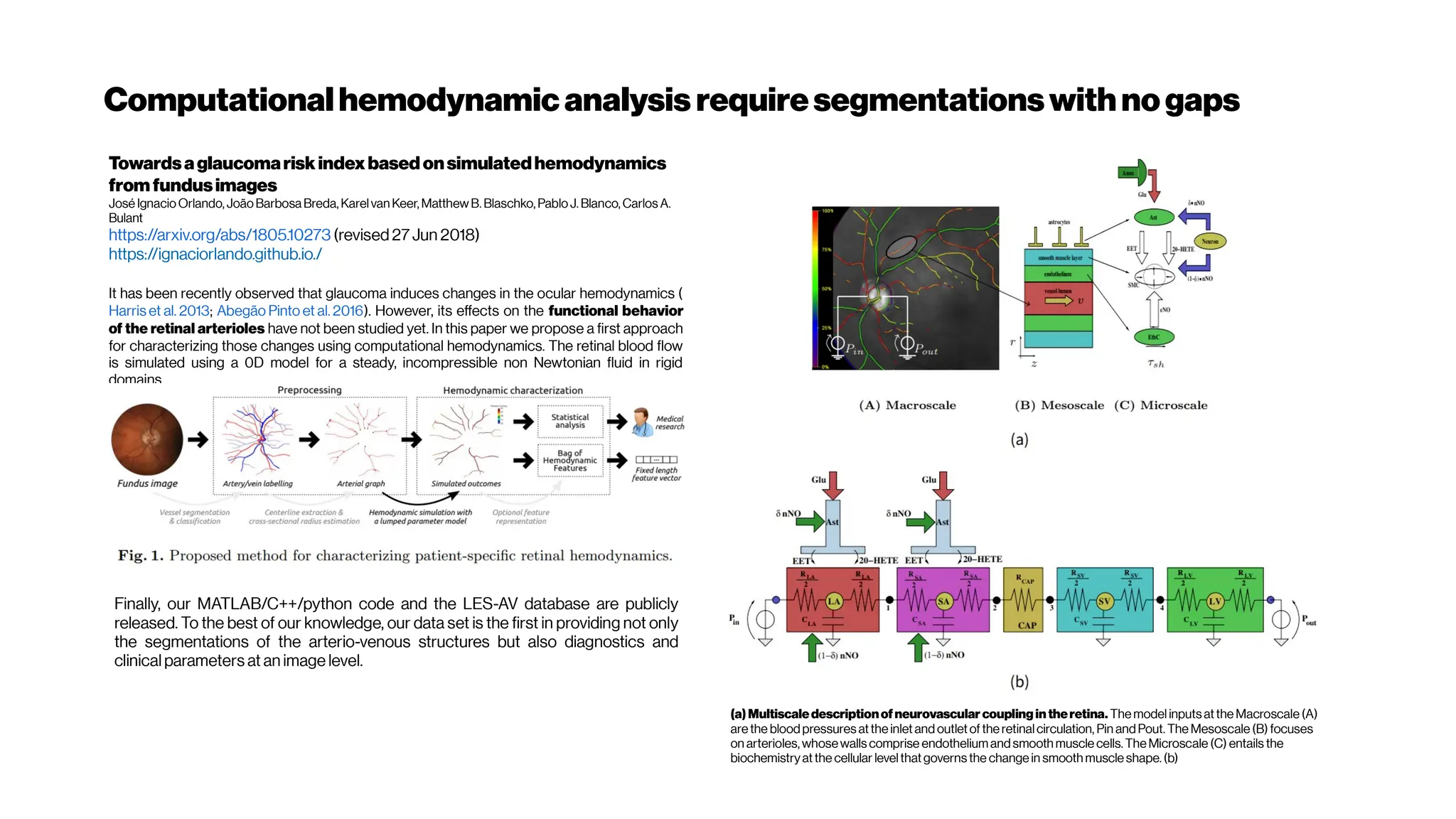 Computationalhemodynamicanalysis requiresegmentationswithnogaps
Towardsaglaucomariskindexbasedonsimulatedhemodynamics
fromfundusimages
José IgnacioOrlando, JoãoBarbosa Breda, Karelvan Keer, Matthew B. Blaschko, PabloJ. Blanco, CarlosA.
Bulant
https://arxiv.org/abs/1805.10273 (revised27 Jun 2018)
https://ignaciorlando.github.io./
It has been recently observed that glaucoma induces changes in the ocular hemodynamics (
Harris et al. 2013; Abegão Pinto et al. 2016). However, its effects on the functional behavior
of the retinal arterioles have not been studied yet. In this paper we propose a first approach
for characterizing those changes using computational hemodynamics. The retinal blood flow
is simulated using a 0D model for a steady, incompressible non Newtonian fluid in rigid
domains.
Finally, our MATLAB/C++/python code and the LES-AV database are publicly
released. To the best of our knowledge, our data set is the first in providing not only
the segmentations of the arterio-venous structures but also diagnostics and
clinical parameters at an image level.
(a)Multiscaledescriptionofneurovascular coupling in theretina. The modelinputsatthe Macroscale (A)
are the bloodpressuresatthe inletand outletof the retinalcirculation, Pin andPout. The Mesoscale (B) focuses
on arterioles, whosewalls comprise endotheliumandsmooth muscle cells.The Microscale (C) entails the
biochemistryatthe cellular levelthatgoverns the change in smooth muscle shape.(b)
 