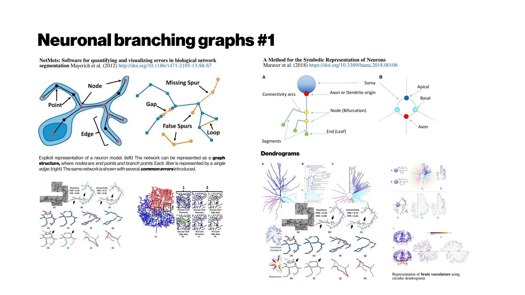 Neuronalbranching graphs #1
Explicit representation of a neuron model. (left) The network can be represented as a graph
structure, where nodes are end points and branch points. Each fiber is represented by a single
edge. (right) The same networkisshown withseveral commonerrorsintroduced.
Dendrograms
Representation of brain vasculature using
circular dendrograms
A Method for the Symbolic Representation of Neurons
Maraver et al. (2018) https://doi.org/10.3389/fnana.2018.00106
NetMets: Software for quantifying and visualizing errors in biological network
segmentation Mayerich et al. (2012) http://doi.org/10.1186/1471-2105-13-S8-S7
 