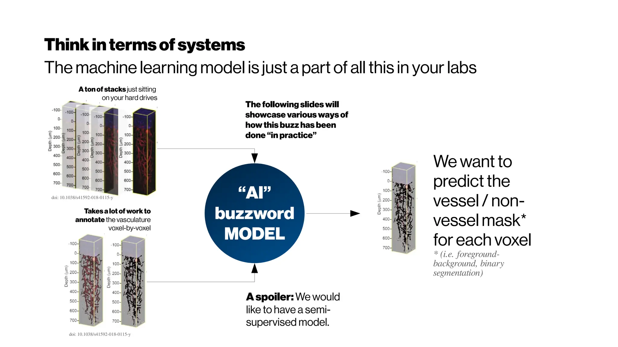 Thinkintermsofsystems
The machine learning model is just a part of all this in your labs
Atonof stacksjust sitting
on your hard drives
Takesalot of workto
annotate the vasculature
voxel-by-voxel
“AI”
buzzword
MODEL
The following slides will
showcase variouswaysof
how thisbuzzhas been
done “in practice”
Aspoiler:We would
like to have a semi-
supervised model.
doi: 10.1038/s41592-018-0115-y
doi: 10.1038/s41592-018-0115-y
We want to
predict the
vessel / non-
vessel mask*
for each voxel
* (i.e. foreground-
background, binary
segmentation)
 