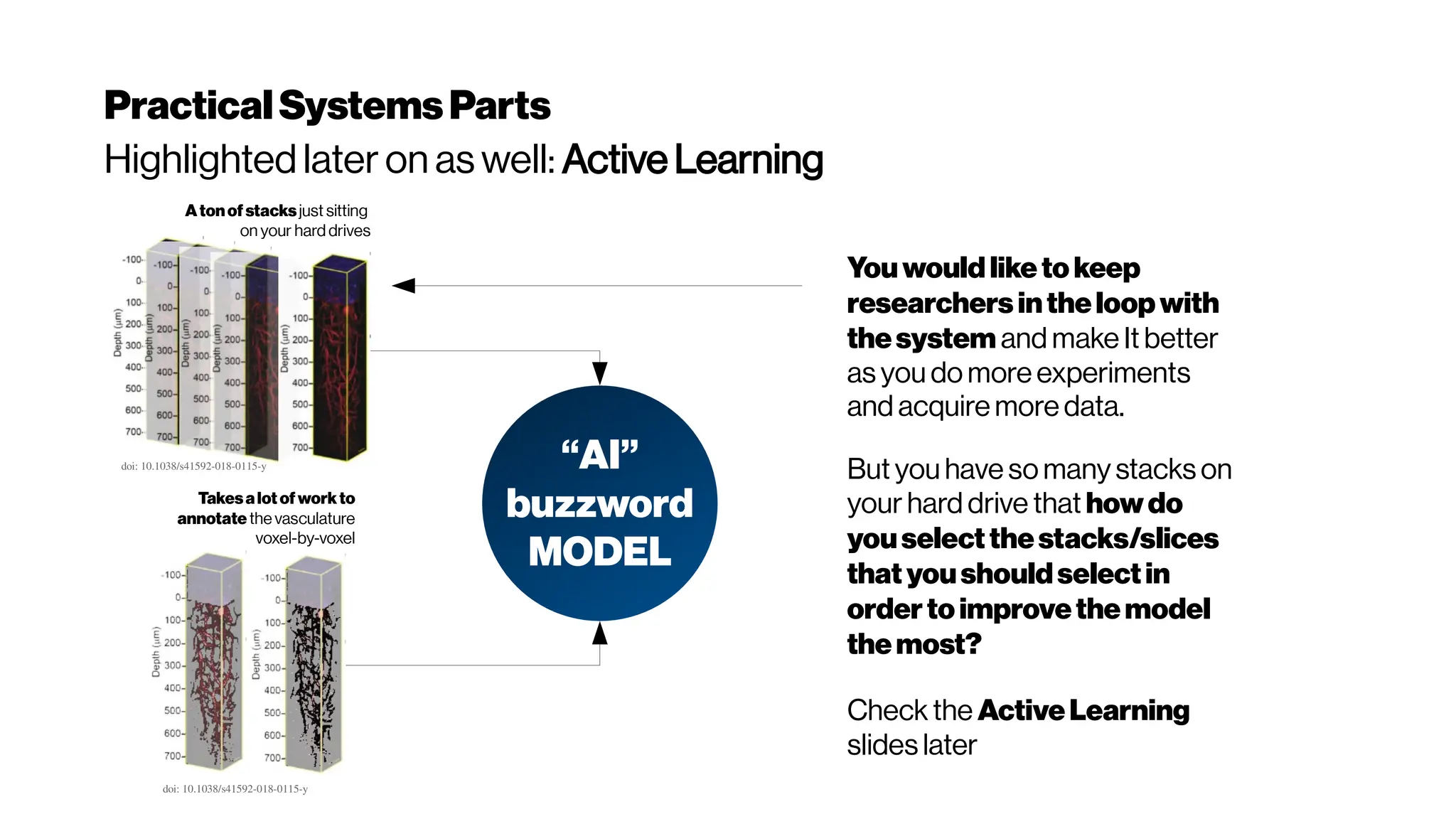 PracticalSystemsParts
Highlighted later on as well: Active Learning
Atonof stacksjust sitting
on your hard drives
Takesalot of workto
annotate the vasculature
voxel-by-voxel
“AI”
buzzword
MODEL
doi: 10.1038/s41592-018-0115-y
doi: 10.1038/s41592-018-0115-y
Youwould liketo keep
researchersintheloopwith
thesystem and make It better
as you do more experiments
and acquire more data.
But you have so many stacks on
your hard drive that howdo
youselectthestacks/slices
thatyoushouldselectin
orderto improvethemodel
themost?
Check the ActiveLearning
slides later
 