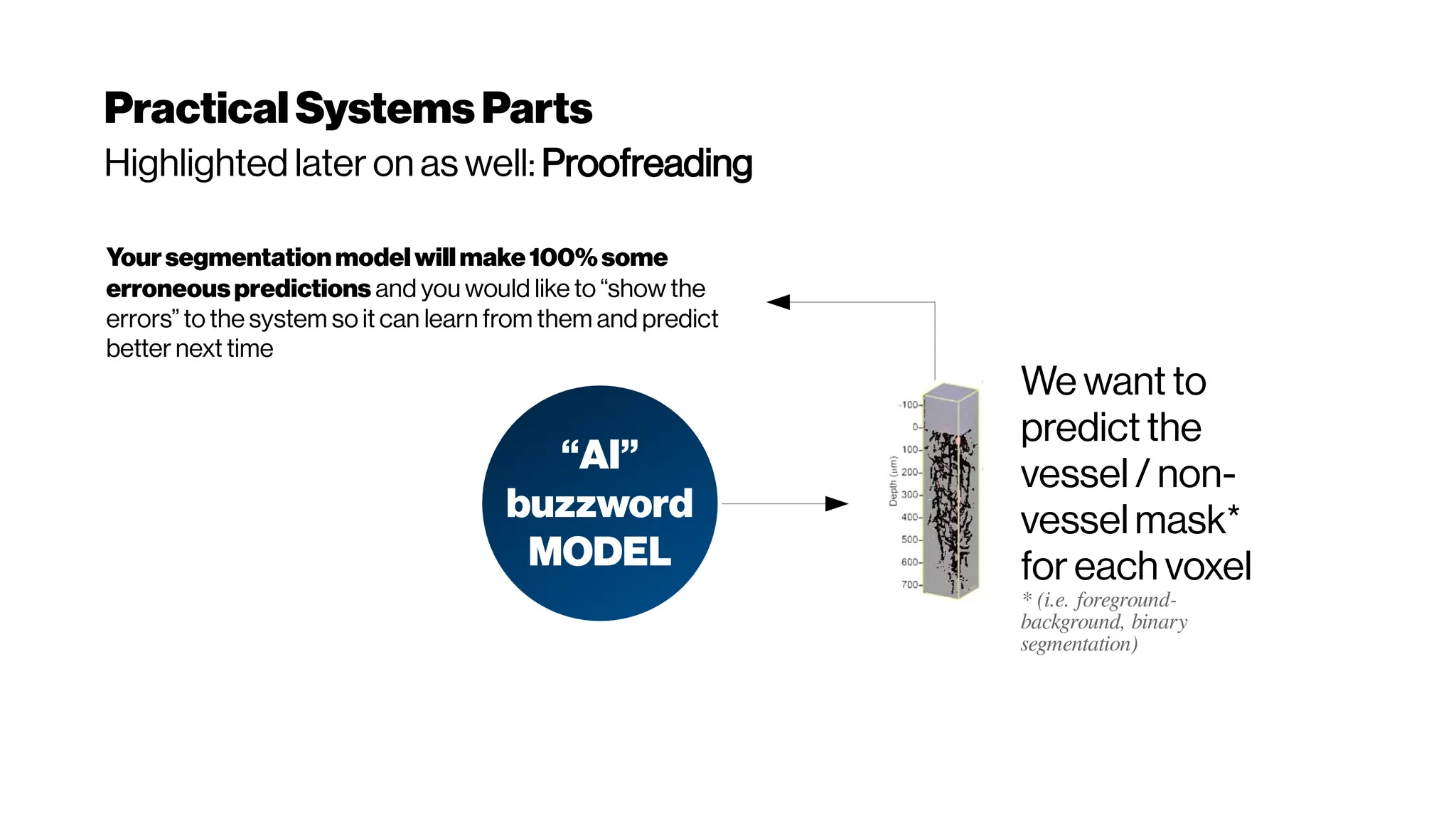 PracticalSystemsParts
Highlighted later on as well: Proofreading
We want to
predict the
vessel / non-
vessel mask*
for each voxel
* (i.e. foreground-
background, binary
segmentation)
“AI”
buzzword
MODEL
Yoursegmentationmodel willmake100%some
erroneouspredictions and you would like to “show the
errors” to the system so it can learn from them and predict
better next time
 