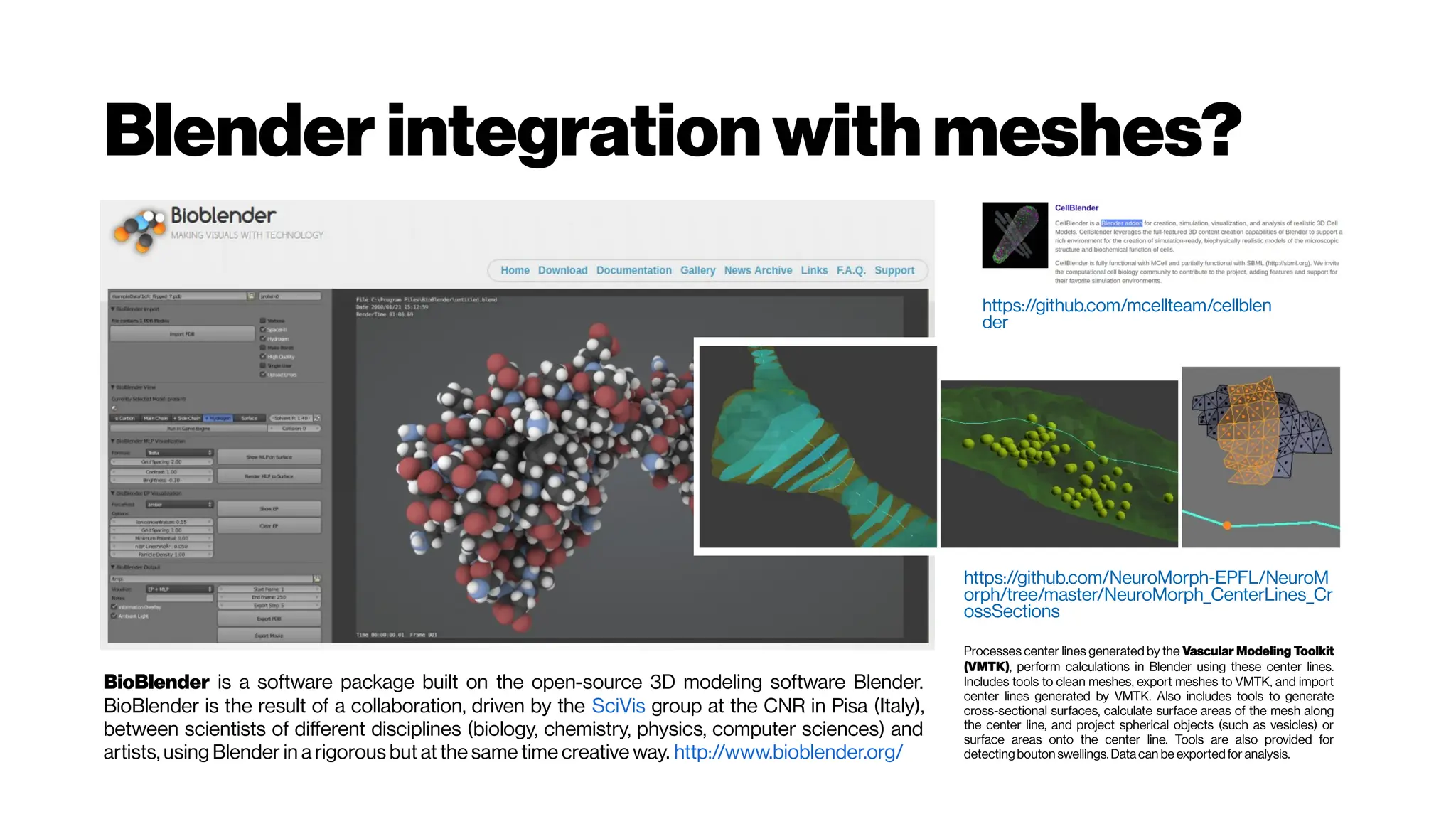 Blender integrationwithmeshes?
BioBlender is a software package built on the open-source 3D modeling software Blender.
BioBlender is the result of a collaboration, driven by the SciVis group at the CNR in Pisa (Italy),
between scientists of different disciplines (biology, chemistry, physics, computer sciences) and
artists, using Blender in a rigorous but at the same time creative way. http://www.bioblender.org/
https://github.com/mcellteam/cellblen
der
https://github.com/NeuroMorph-EPFL/NeuroM
orph/tree/master/NeuroMorph_CenterLines_Cr
ossSections
Processes center lines generated by the Vascular Modeling Toolkit
(VMTK), perform calculations in Blender using these center lines.
Includes tools to clean meshes, export meshes to VMTK, and import
center lines generated by VMTK. Also includes tools to generate
cross-sectional surfaces, calculate surface areas of the mesh along
the center line, and project spherical objects (such as vesicles) or
surface areas onto the center line. Tools are also provided for
detectingbouton swellings. Data can be exportedfor analysis.
 