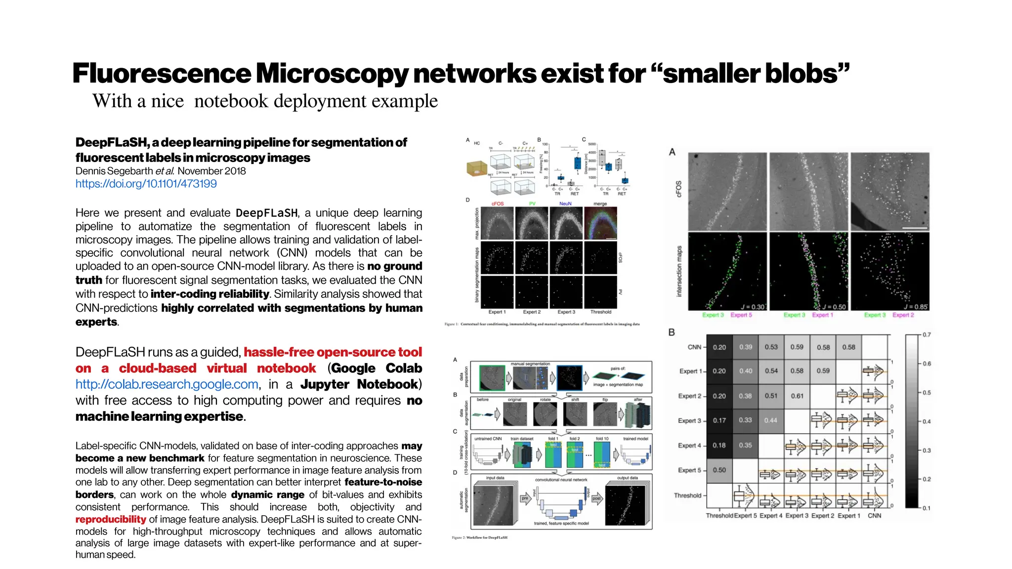 FluorescenceMicroscopy networksexistfor“smallerblobs”
DeepFLaSH,adeeplearningpipelineforsegmentationof
fluorescentlabelsinmicroscopyimages
Dennis Segebarth et al. November 2018
https://doi.org/10.1101/473199
Here we present and evaluate DeepFLaSH, a unique deep learning
pipeline to automatize the segmentation of fluorescent labels in
microscopy images. The pipeline allows training and validation of label-
specific convolutional neural network (CNN) models that can be
uploaded to an open-source CNN-model library. As there is no ground
truth for fluorescent signal segmentation tasks, we evaluated the CNN
with respect to inter-coding reliability. Similarity analysis showed that
CNN-predictions highly correlated with segmentations by human
experts.
DeepFLaSH runs as a guided, hassle-free open-source tool
on a cloud-based virtual notebook (Google Colab
http://colab.research.google.com, in a Jupyter Notebook)
with free access to high computing power and requires no
machinelearningexpertise.
Label-specific CNN-models, validated on base of inter-coding approaches may
become a new benchmark for feature segmentation in neuroscience. These
models will allow transferring expert performance in image feature analysis from
one lab to any other. Deep segmentation can better interpret feature-to-noise
borders, can work on the whole dynamic range of bit-values and exhibits
consistent performance. This should increase both, objectivity and
reproducibility of image feature analysis. DeepFLaSH is suited to create CNN-
models for high-throughput microscopy techniques and allows automatic
analysis of large image datasets with expert-like performance and at super-
human speed.
With a nice notebook deployment example
 