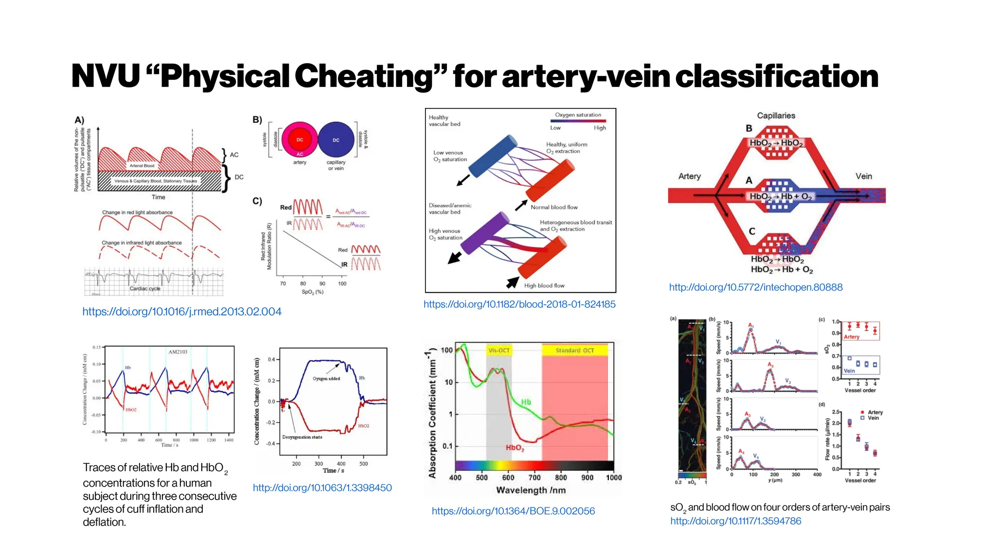 NVU“PhysicalCheating”forartery-veinclassification
https://doi.org/10.1016/j.rmed.2013.02.004
https://doi.org/10.1182/blood-2018-01-824185
https://doi.org/10.1364/BOE.9.002056
http://doi.org/10.5772/intechopen.80888
Traces of relative Hb and HbO2
concentrations for a human
subject during three consecutive
cycles of cuff inflation and
deflation.
http://doi.org/10.1063/1.3398450
sO2
and blood flow on four orders of artery-vein pairs
http://doi.org/10.1117/1.3594786
 