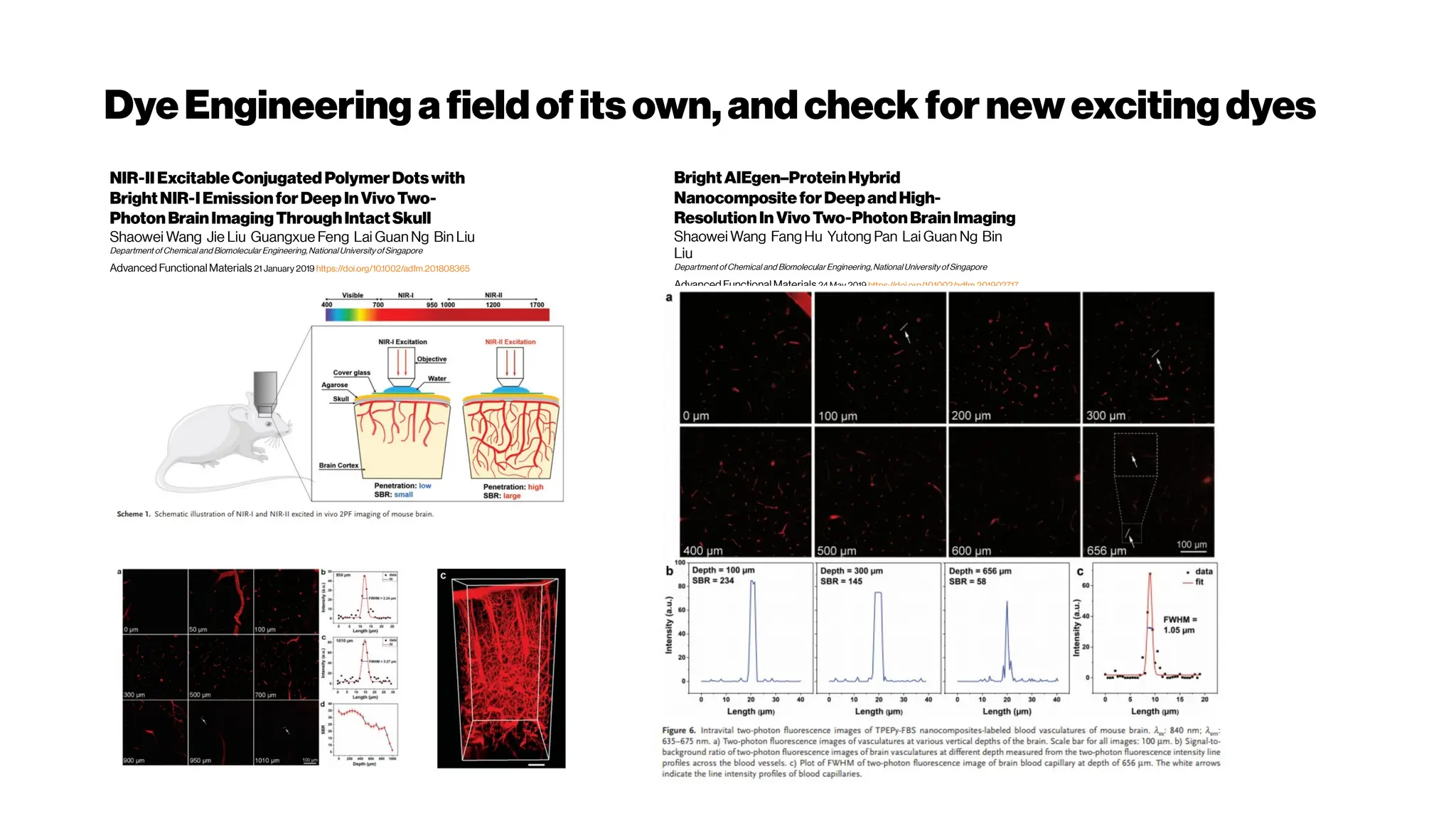 DyeEngineering afieldofitsown,andcheckfornewexcitingdyes
BrightAIEgen–ProteinHybrid
NanocompositeforDeepandHigh‐
ResolutionIn VivoTwo PhotonBrainImaging
‐
Shaowei Wang Fang Hu Yutong Pan Lai Guan Ng Bin
Liu
Department ofChemical and Biomolecular Engineering,National University ofSingapore
Advanced Functional Materials 24 May 2019 https://doi.org/10.1002/adfm.201902717
NIR IIExcitableConjugated PolymerDotswith
‐
BrightNIR IEmissionforDeepInVivoTwo
‐ ‐
PhotonBrainImagingThroughIntactSkull
Shaowei Wang Jie Liu Guangxue Feng Lai Guan Ng Bin Liu
Department of Chemical and Biomolecular Engineering,National University ofSingapore
Advanced Functional Materials 21 January 2019 https://doi.org/10.1002/adfm.201808365
 