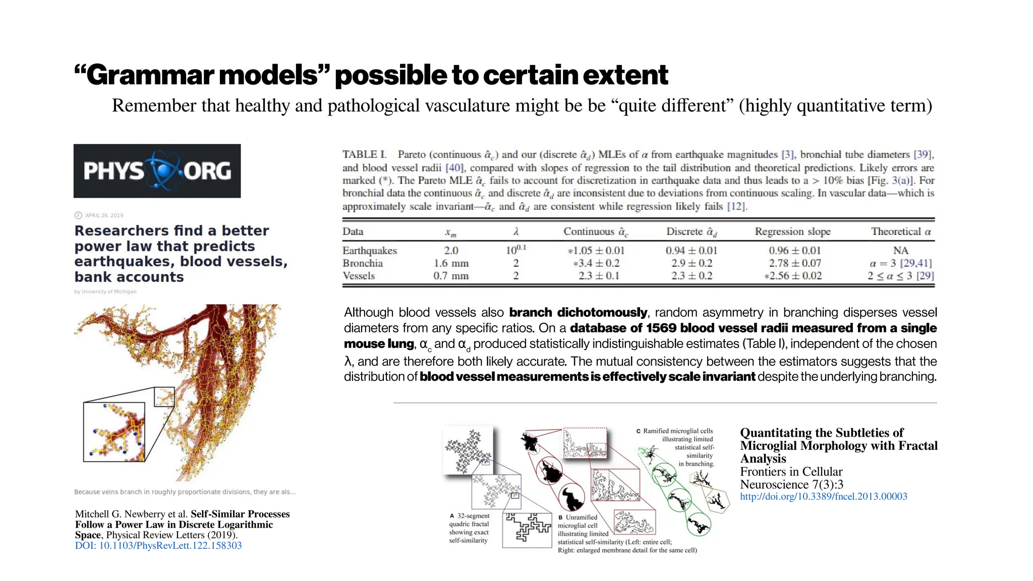 “Grammarmodels”possibletocertainextent
Remember that healthy and pathological vasculature might be be “quite different” (highly quantitative term)
Mitchell G. Newberry et al. Self-Similar Processes
Follow a Power Law in Discrete Logarithmic
Space, Physical Review Letters (2019).
DOI: 10.1103/PhysRevLett.122.158303
Although blood vessels also branch dichotomously, random asymmetry in branching disperses vessel
diameters from any specific ratios. On a database of 1569 blood vessel radii measured from a single
mouse lung, αc
and αd
produced statistically indistinguishable estimates (Table I), independent of the chosen
, and are therefore both likely accurate. The mutual consistency between the estimators suggests that the
λ
distribution ofbloodvesselmeasurementsiseffectivelyscaleinvariant despitetheunderlyingbranching.
Quantitating the Subtleties of
Microglial Morphology with Fractal
Analysis
Frontiers in Cellular
Neuroscience 7(3):3
http://doi.org/10.3389/fncel.2013.00003
 