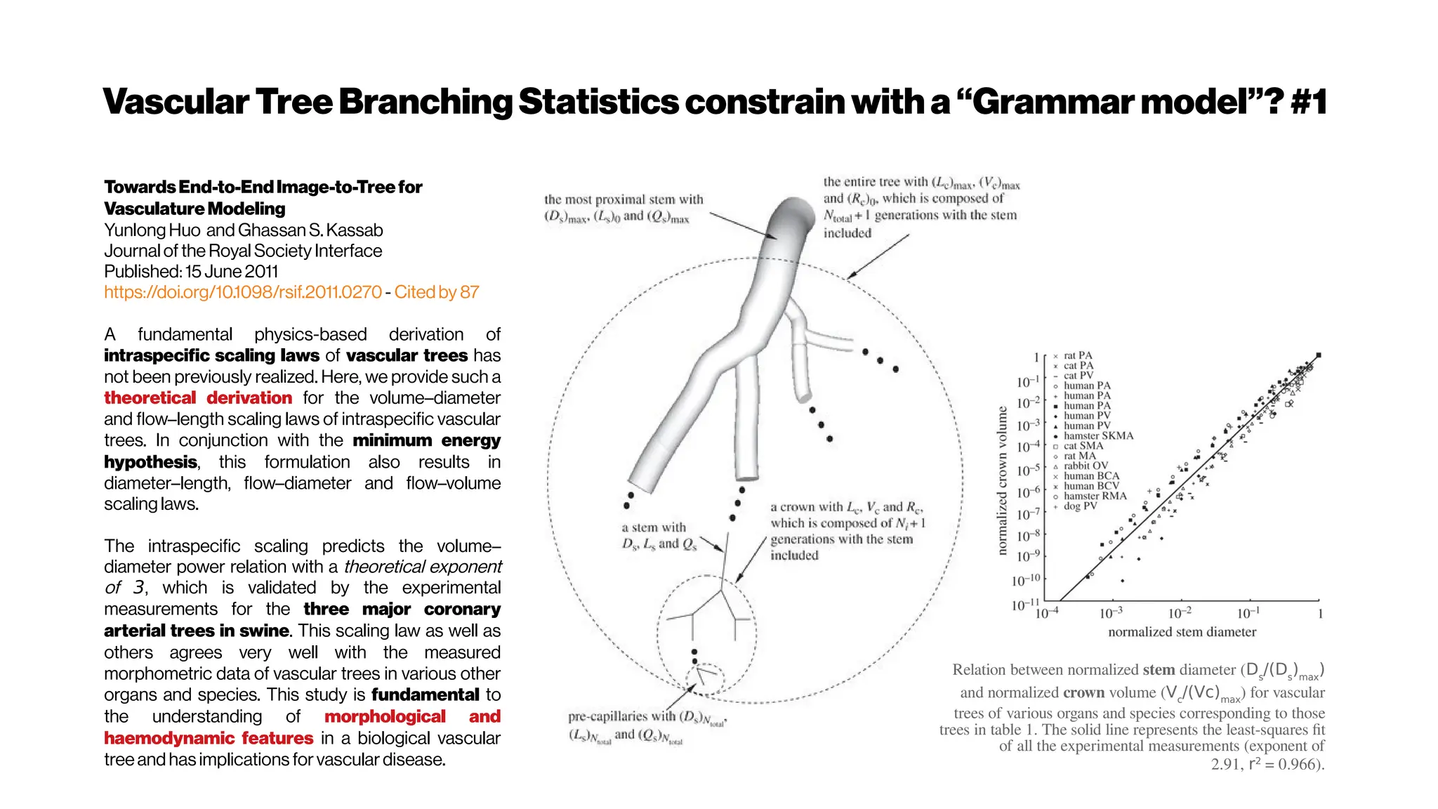 VascularTreeBranchingStatistics constrain with a“Grammarmodel”?#1
TowardsEnd-to-EndImage-to-Treefor
VasculatureModeling
YunlongHuo and Ghassan S. Kassab
Journal of the Royal SocietyInterface
Published:15 June2011
https://doi.org/10.1098/rsif.2011.0270- Citedby 87
A fundamental physics-based derivation of
intraspecific scaling laws of vascular trees has
not been previously realized. Here, we provide such a
theoretical derivation for the volume–diameter
and flow–length scaling laws of intraspecific vascular
trees. In conjunction with the minimum energy
hypothesis, this formulation also results in
diameter–length, flow–diameter and flow–volume
scaling laws.
The intraspecific scaling predicts the volume–
diameter power relation with a theoretical exponent
of 3, which is validated by the experimental
measurements for the three major coronary
arterial trees in swine. This scaling law as well as
others agrees very well with the measured
morphometric data of vascular trees in various other
organs and species. This study is fundamental to
the understanding of morphological and
haemodynamic features in a biological vascular
treeand has implications forvasculardisease.
Relation between normalized stem diameter (Ds
/(Ds
)max
)
and normalized crown volume (Vc
/(Vc)max
) for vascular
trees of various organs and species corresponding to those
trees in table 1. The solid line represents the least-squares fit
of all the experimental measurements (exponent of
2.91, r2
= 0.966).
 