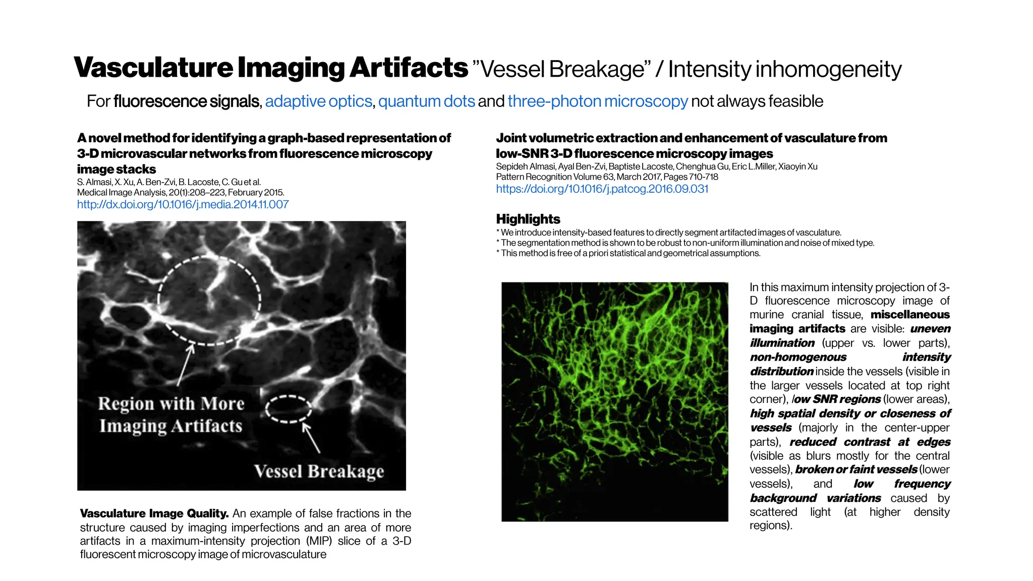 VasculatureImagingArtifacts”Vessel Breakage” / Intensity inhomogeneity
Anovelmethodforidentifyingagraph-basedrepresentationof
3-Dmicrovascularnetworksfromfluorescencemicroscopy
imagestacks
S. Almasi, X. Xu, A.Ben-Zvi, B. Lacoste, C. Guet al.
MedicalImage Analysis, 20(1):208–223, February2015.
http://dx.doi.org/10.1016/j.media.2014.11.007
Vasculature Image Quality. An example of false fractions in the
structure caused by imaging imperfections and an area of more
artifacts in a maximum-intensity projection (MIP) slice of a 3-D
fluorescent microscopy image of microvasculature
Jointvolumetricextractionandenhancementof vasculaturefrom
low-SNR3-Dfluorescencemicroscopyimages
Sepideh Almasi, AyalBen-Zvi, Baptiste Lacoste, Chenghua Gu, Eric L.Miller, Xiaoyin Xu
Pattern Recognition Volume 63, March 2017, Pages710-718
https://doi.org/10.1016/j.patcog.2016.09.031
Highlights
*We introduce intensity-based features to directlysegmentartifactedimages ofvasculature.
*The segmentation method isshown to be robust tonon-uniformillumination and noise ofmixed type.
*This methodis free of apriori statisticalandgeometricalassumptions.
For fluorescence signals, adaptive optics, quantum dots and three-photon microscopy not always feasible
In this maximum intensity projection of 3-
D fluorescence microscopy image of
murine cranial tissue, miscellaneous
imaging artifacts are visible: uneven
illumination (upper vs. lower parts),
non-homogenous intensity
distribution inside the vessels (visible in
the larger vessels located at top right
corner), low SNR regions (lower areas),
high spatial density or closeness of
vessels (majorly in the center-upper
parts), reduced contrast at edges
(visible as blurs mostly for the central
vessels), brokenor faint vessels (lower
vessels), and low frequency
background variations caused by
scattered light (at higher density
regions).
 