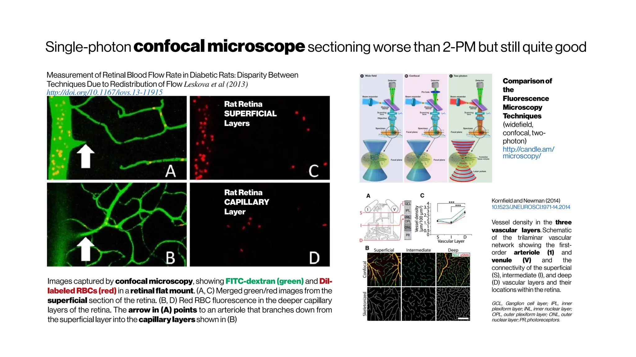 Single-photonconfocalmicroscopesectioning worse than 2-PM but still quite good
Images captured by confocal microscopy, showing FITC-dextran (green) and DiI-
labeledRBCs(red) in a retinalflatmount. (A, C) Merged green/red images from the
superficial section of the retina. (B, D) Red RBC fluorescence in the deeper capillary
layers of the retina. The arrow in (A) points to an arteriole that branches down from
the superficial layerinto the capillarylayersshown in (B)
Comparisonof
the
Fluorescence
Microscopy
Techniques
(widefield,
confocal, two-
photon)
http://candle.am/
microscopy/
Measurement ofRetinal Blood Flow Ratein DiabeticRats: Disparity Between
Techniques Dueto Redistribution of Flow Leskova et al (2013)
http://doi.org/10.1167/iovs.13-11915
RatRetina
SUPERFICIAL
Layers
RatRetina
CAPILLARY
Layer
Kornfield andNewman (2014)
10.1523/JNEUROSCI.1971-14.2014
Vessel density in the three
vascular layers. Schematic
of the trilaminar vascular
network showing the first-
order arteriole (1) and
venule (V) and the
connectivity of the superficial
(S), intermediate (I), and deep
(D) vascular layers and their
locations within the retina.
GCL, Ganglion cell layer; IPL, inner
plexiform layer; INL, inner nuclear layer;
OPL, outer plexiform layer; ONL, outer
nuclear layer; PR,photoreceptors.
 