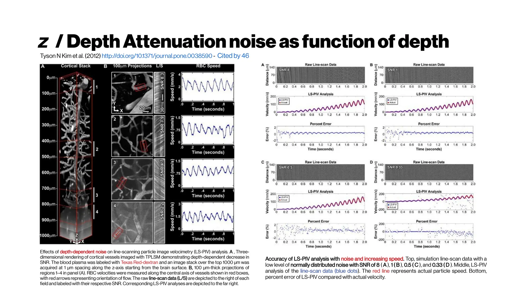 z / DepthAttenuationnoiseasfunctionofdepth
Effects of depth-dependent noise on line-scanning particle image velocimetry (LS-PIV) analysis. A , Three-
dimensional rendering of cortical vessels imaged with TPLSM demonstrating depth-dependent decrease in
SNR. The blood plasma was labeled with Texas Red-dextran and an image stack over the top 1000 µm was
acquired at 1 µm spacing along the z-axis starting from the brain surface. B, 100 µm-thick projections of
regions 1–4 in panel (A). RBC velocities were measured along the central axis of vessels shown in red boxes,
with redarrows representing orientation offlow. The raw line-scan data (L/S) are depicted tothe right ofeach
fieldandlabeledwith their respective SNR. CorrespondingLS-PIV analyses aredepictedto the far right.
Accuracy of LS-PIV analysis with noise and increasing speed. Top, simulation line-scan data with a
low level of normally distributed noise with SNR of 8 ( A ), 1 ( B ), 0.5 ( C ), and 0.33 ( D ). Middle, LS-PIV
analysis of the line-scan data (blue dots). The red line represents actual particle speed. Bottom,
percent error of LS-PIV compared with actual velocity.
Tyson N Kim et al. (2012) http://doi.org/10.1371/journal.pone.0038590 - Cited by 46
 
