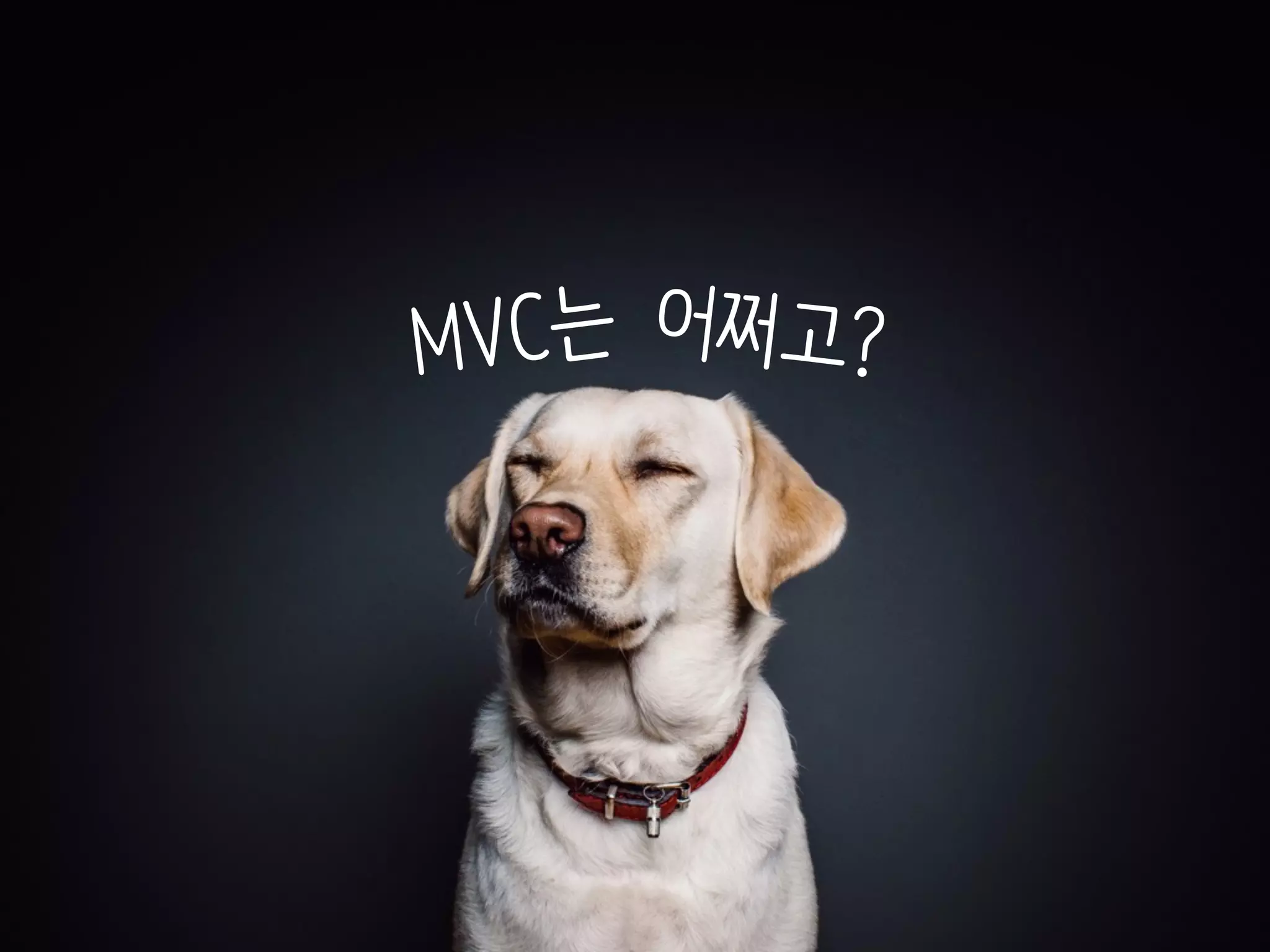 MVC는 어쩌고?
 