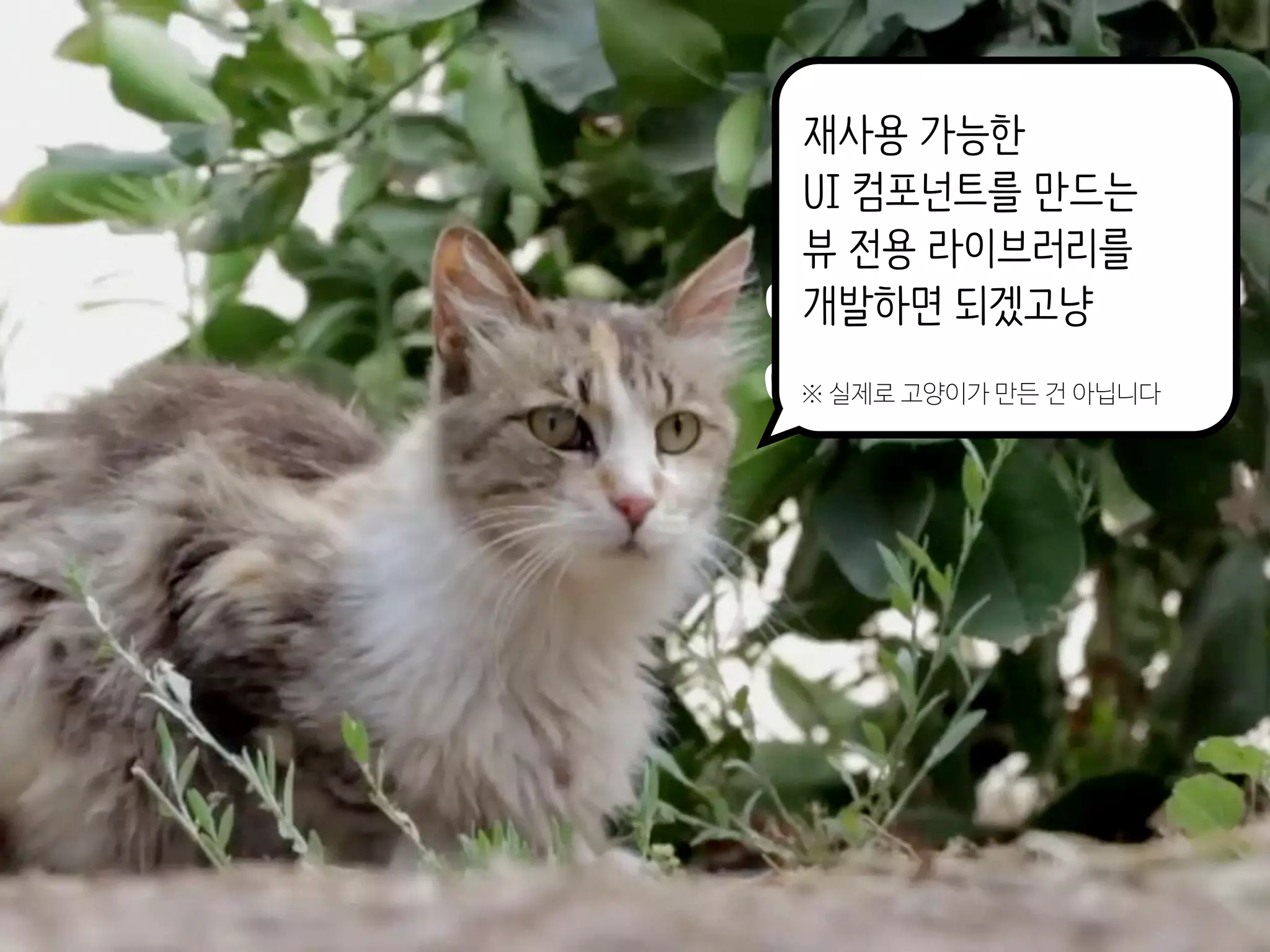 어쩌냥..
아!
재사용 가능한
UI 컴포넌트를 만드는
뷰 전용 라이브러리를
개발하면 되겠고냥
※ 실제로 고양이가 만든 건 아닙니다
 