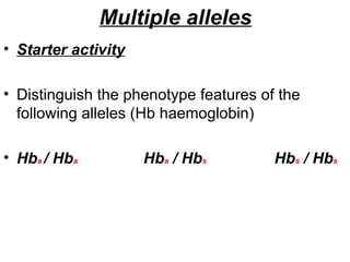 Multiple Alleles Lesson 4 | PPT