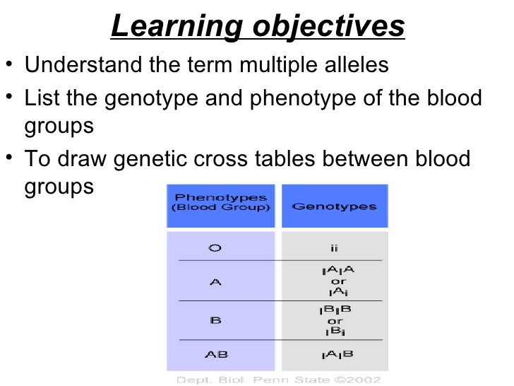 Multiple Alleles Lesson 4