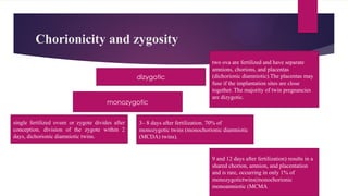 Chorionicity and zygosity
dizygotic
two ova are fertilized and have separate
amnions, chorions, and placentas
(dichorionic diamniotic).The placentas may
fuse if the implantation sites are close
together. The majority of twin pregnancies
are dizygotic.
single fertilized ovum or zygote divides after
conception. division of the zygote within 2
days, dichorionic diamniotic twins.
monozygotic
9 and 12 days after fertilization) results in a
shared chorion, amnion, and placentation
and is rare, occurring in only 1% of
monozygotictwins(monochorionic
monoamniotic (MCMA
3– 8 days after fertilization. 70% of
monozygotic twins (monochorionic diamniotic
(MCDA) twins).
 