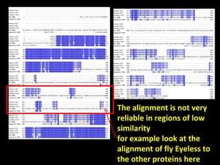 Multiple alignment | PPT