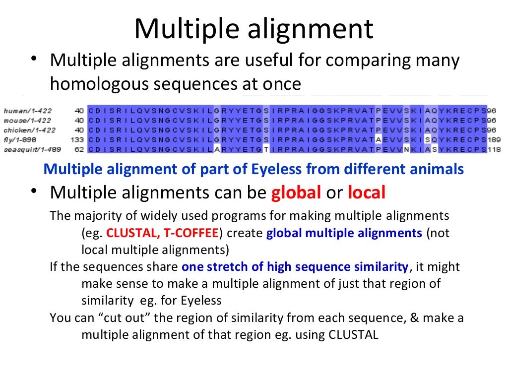 multiple alignment