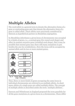 Multiple Alleles
The word allele is a general term to denote the alternative forms of a
gene or contrasting gene pair that denote the alternative form of a
gene is called allele. These alleles were previously considered by
Bateson as hypothetical partner in Mendelian segregation.
In Mendelian inheritance a given locus of chromosome was occupied
by 2 kinds of genes, i.e., a normal gene (for round seed shape) and
other its mutant recessive gene (wrinkled seed shape). But it may be
possible that normal gene may show still many mutations in pea
besides the one for wrinkledness. Here the locus will be occupied by
normal allele and its two or more mutant genes.
Thus, three or more kinds of genes occupying the same locus in
individual chromosome are referred to as multiple alleles. In short
many alleles of a single gene are called multiple alleles. The concept
of multiple alleles is described under the term “multiple allelism”.
Dawson and Whitehouse in England proposed the term panallele for
all the gene mutations at a given locus in a chromosome. These differ
 