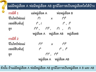 10
แม่มีหมู่เลือด A พ่อมีหมู่เลือด AB ลูกมีโอกำสเป็นหมู่เลือดใดได้บ้ำง
กรณีที่ 1 แม่หมู่เลือด A พ่อหมู่เลือด B
จีโนไทป์พ่อแม่ IAi x IAIB
เซลล์สืบพันธุ์ IA , i IA , IB
ลูก IAIA , IAIB , IAi , IBi
หมู่เลือด A หมู่เลือด AB หมู่เลือดB
กรณีที่ 2
จีโนไทป์พ่อแม่ IAIA x IAIB
เซลล์สืบพันธุ์ IA IA , IB
ลูก IAIA , IAIB
หมู่เลือด A หมู่เลือด AB
ดังนั้น ถ้ำแม่มีหมู่เลือด A พ่อมีหมู่เลือด AB ลูกมีโอกำสเป็นหมู่เลือด A B และ AB
 